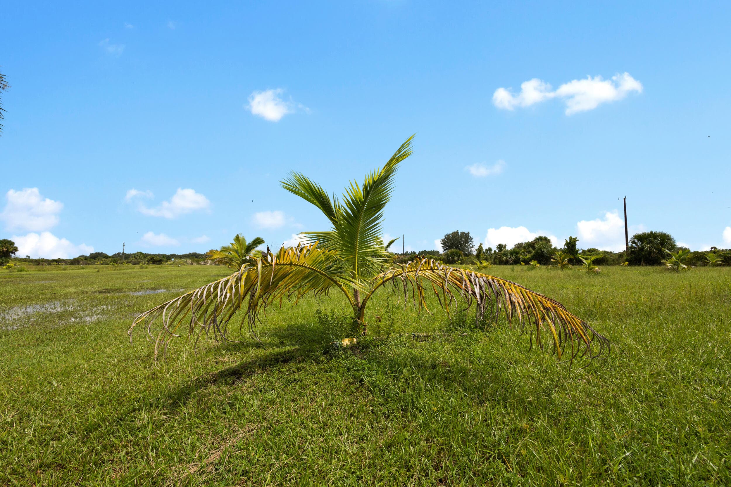 20914 NW 280th Street, Okeechobee, FL 34972 23