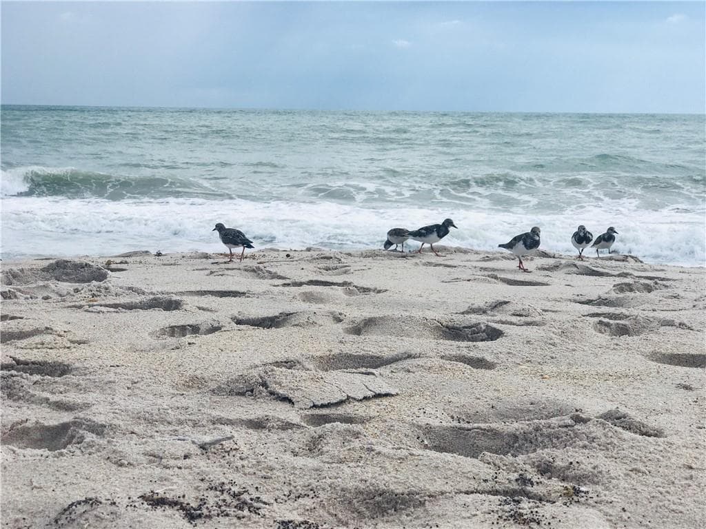2536 44th Avenue, Vero Beach, FL 32966 30