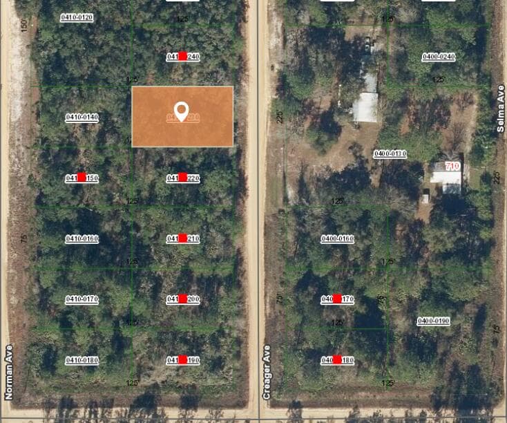004 Creager Avenue, Interlachen, FL 32148 2