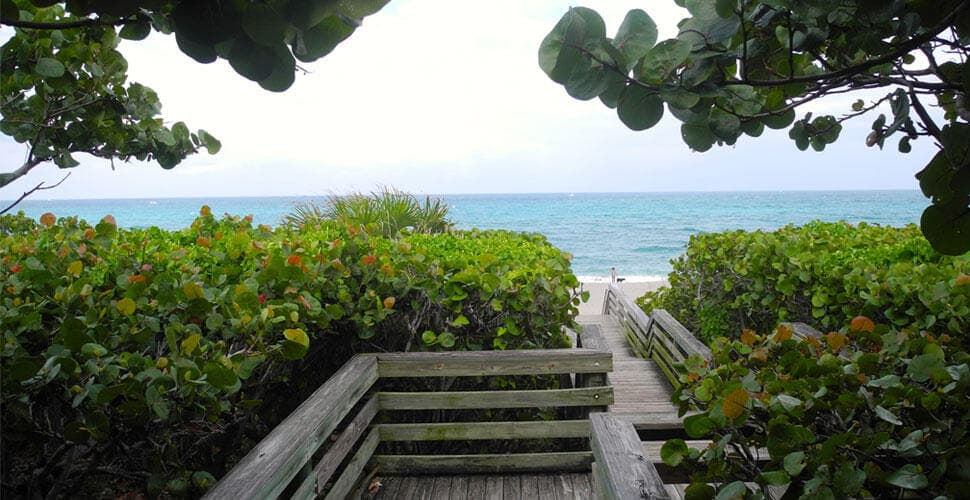825 Center Street 14a, Jupiter, FL 33458 55
