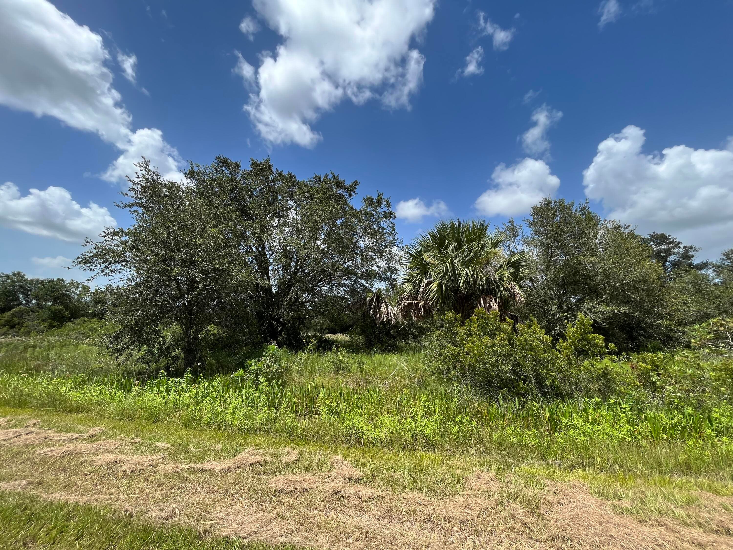 17915 NW 290th Street, Okeechobee, FL 34972 6