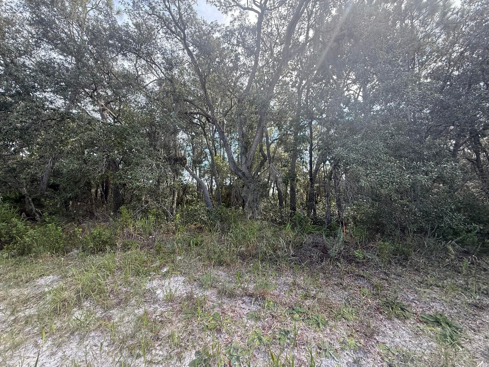 Tbd SW 146th Lane Road, Dunnellon, FL 34432 11