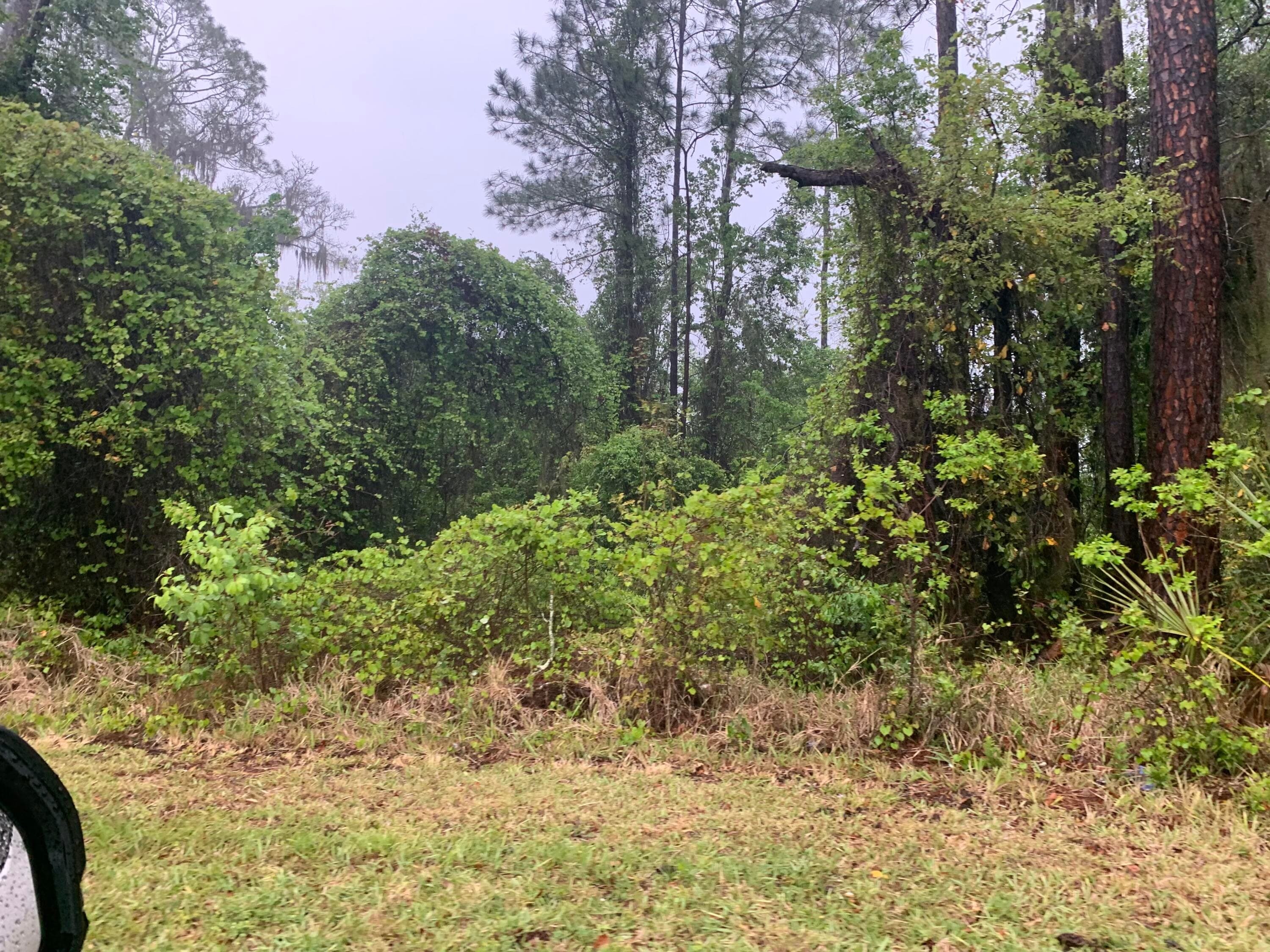 0 SE Unassigned Location Re Avenue, Gainesville, FL 32641 5