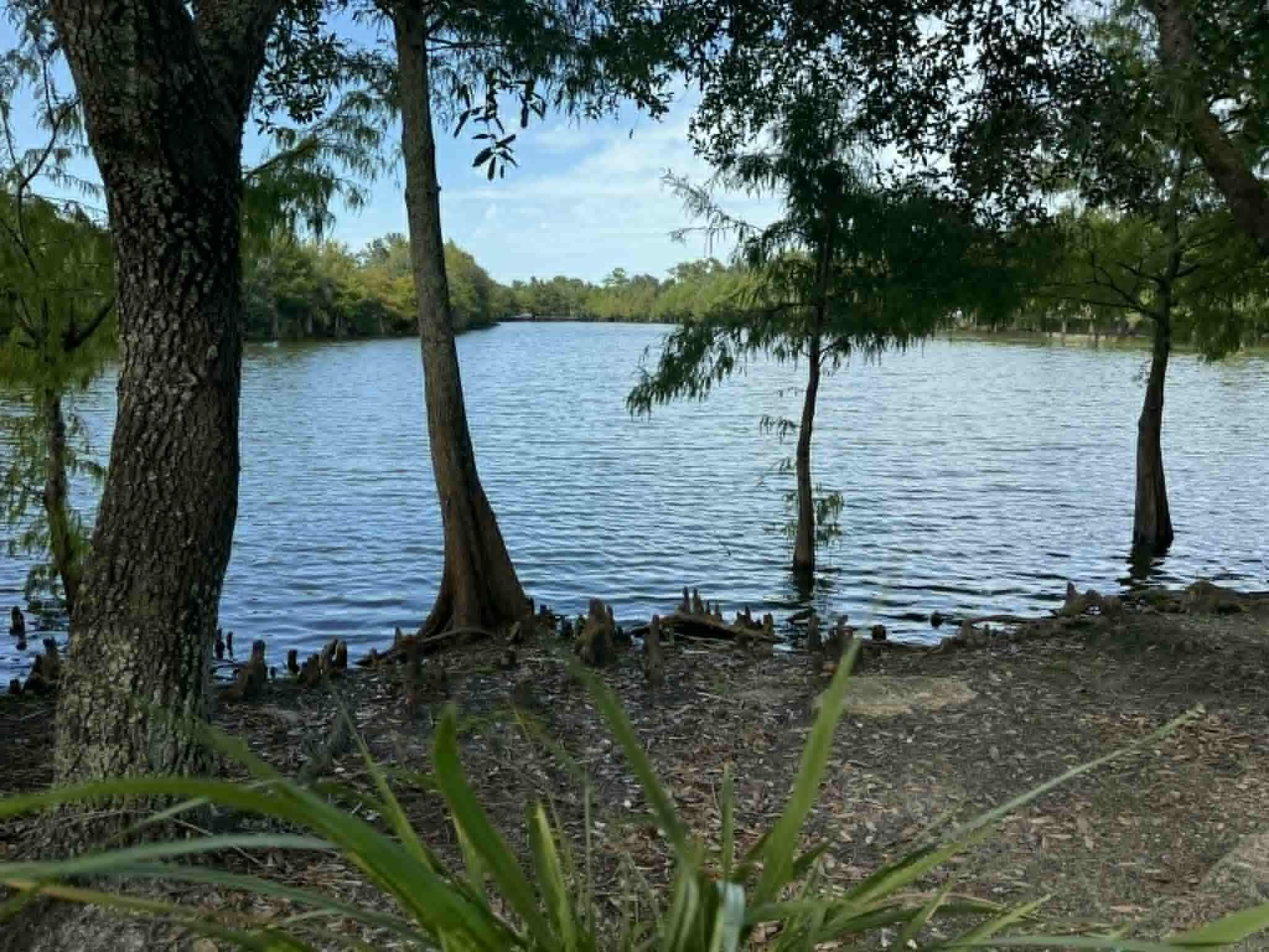 2527 SE Ruskin Drive, Port St. Lucie, FL 34952 26