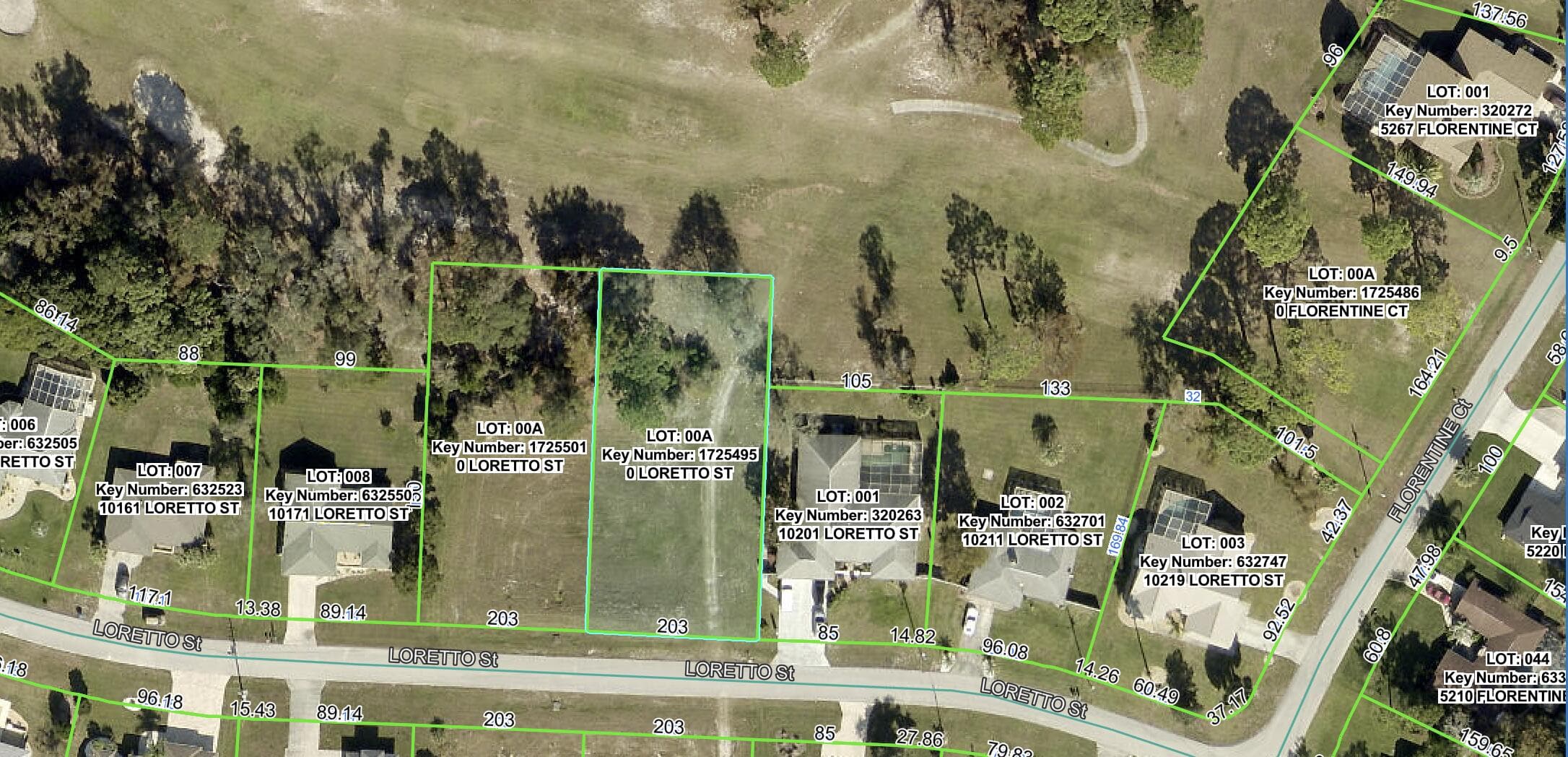 0 Tbd Loretto Lot 4 Street, Spring Hill, FL 34608 3