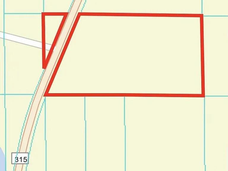 0 NE 315 Hwy, Fort McCoy, FL 32134 3