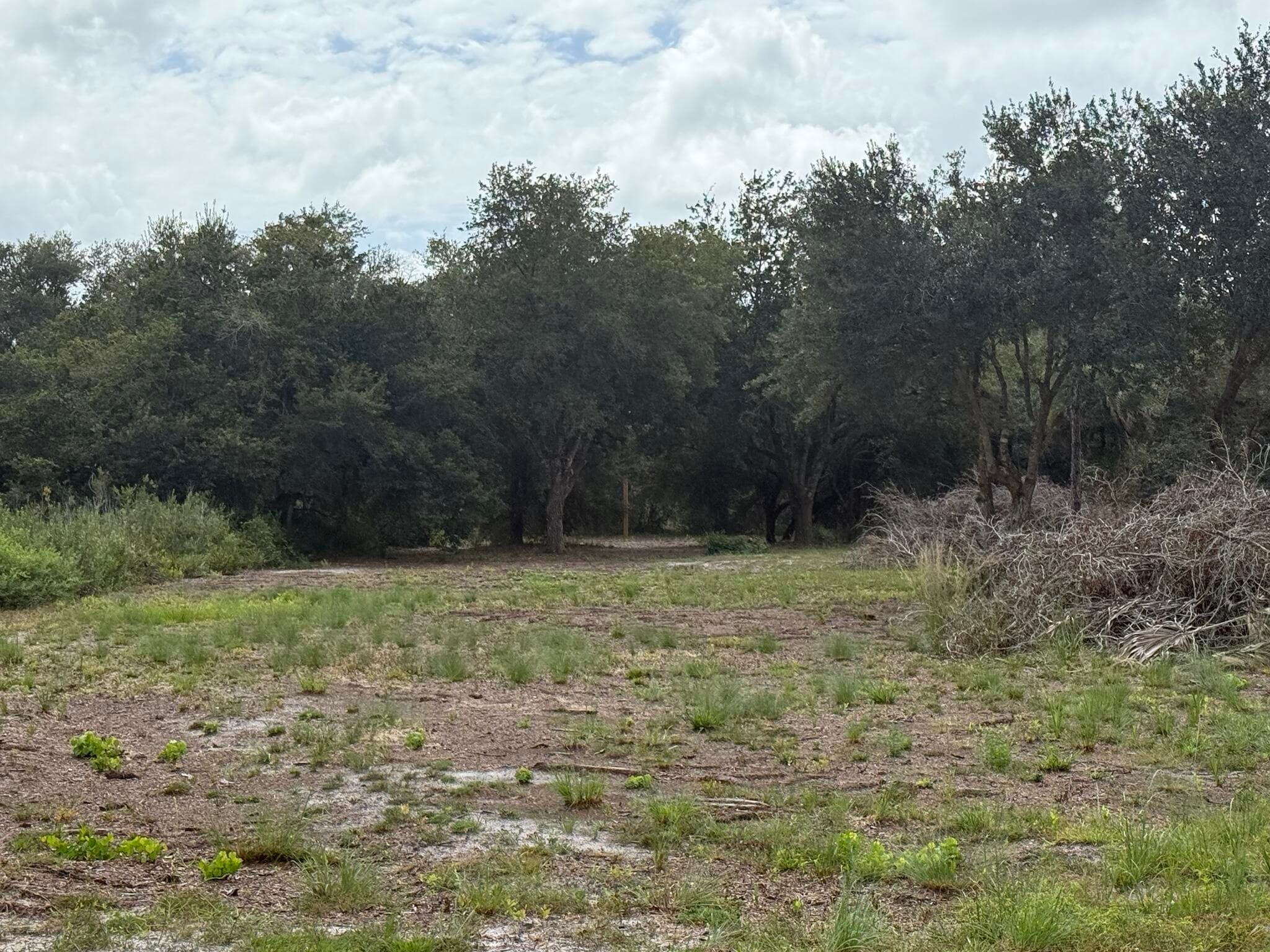 15134 NW 306th Street, Okeechobee, FL 34972 15