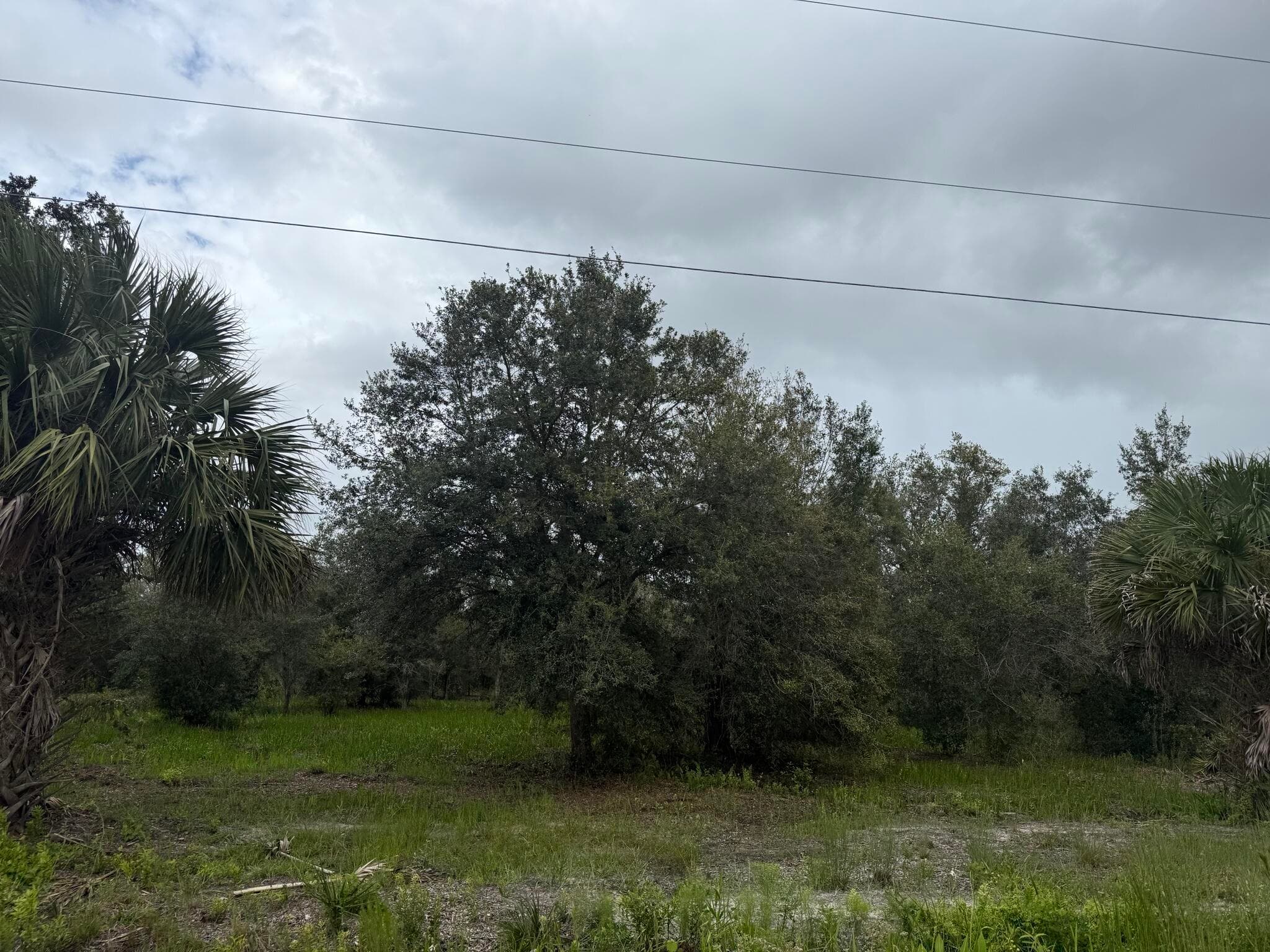 17915 NW 290th Street, Okeechobee, FL 34972 12