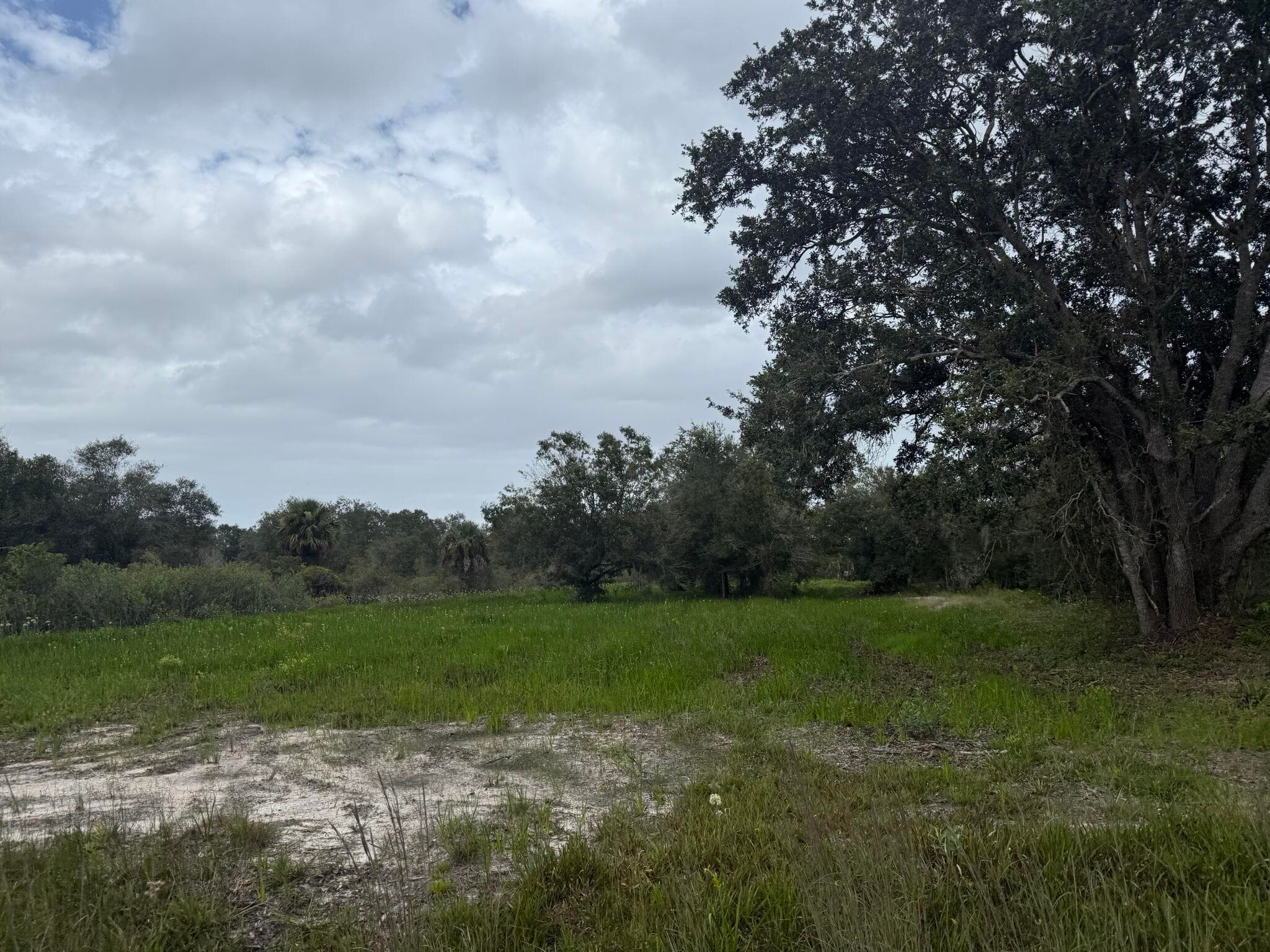17915 NW 290th Street, Okeechobee, FL 34972