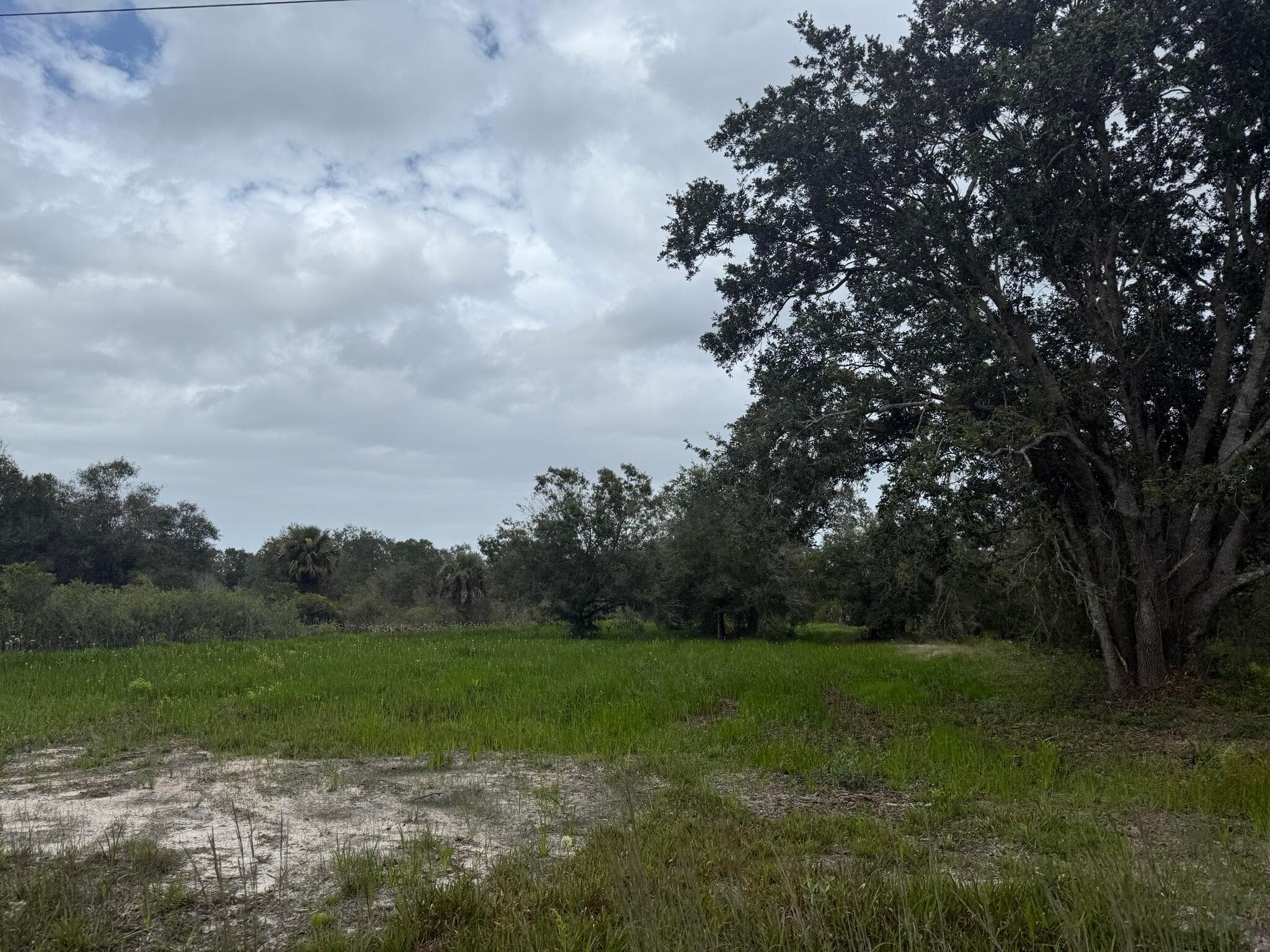 17915 NW 290th Street, Okeechobee, FL 34972 15