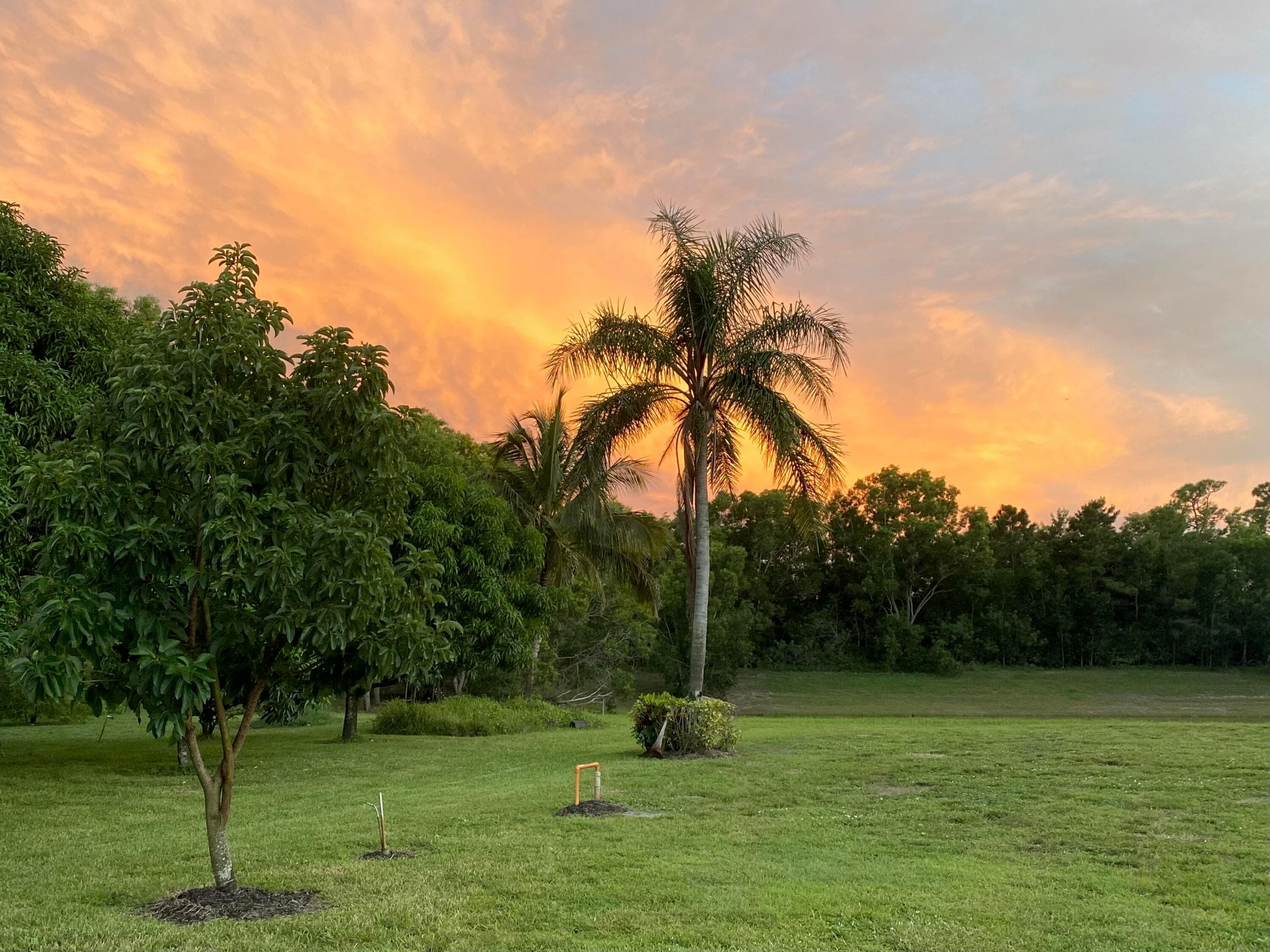 174 SE Osprey Ridge, Port St. Lucie, FL 34984 47
