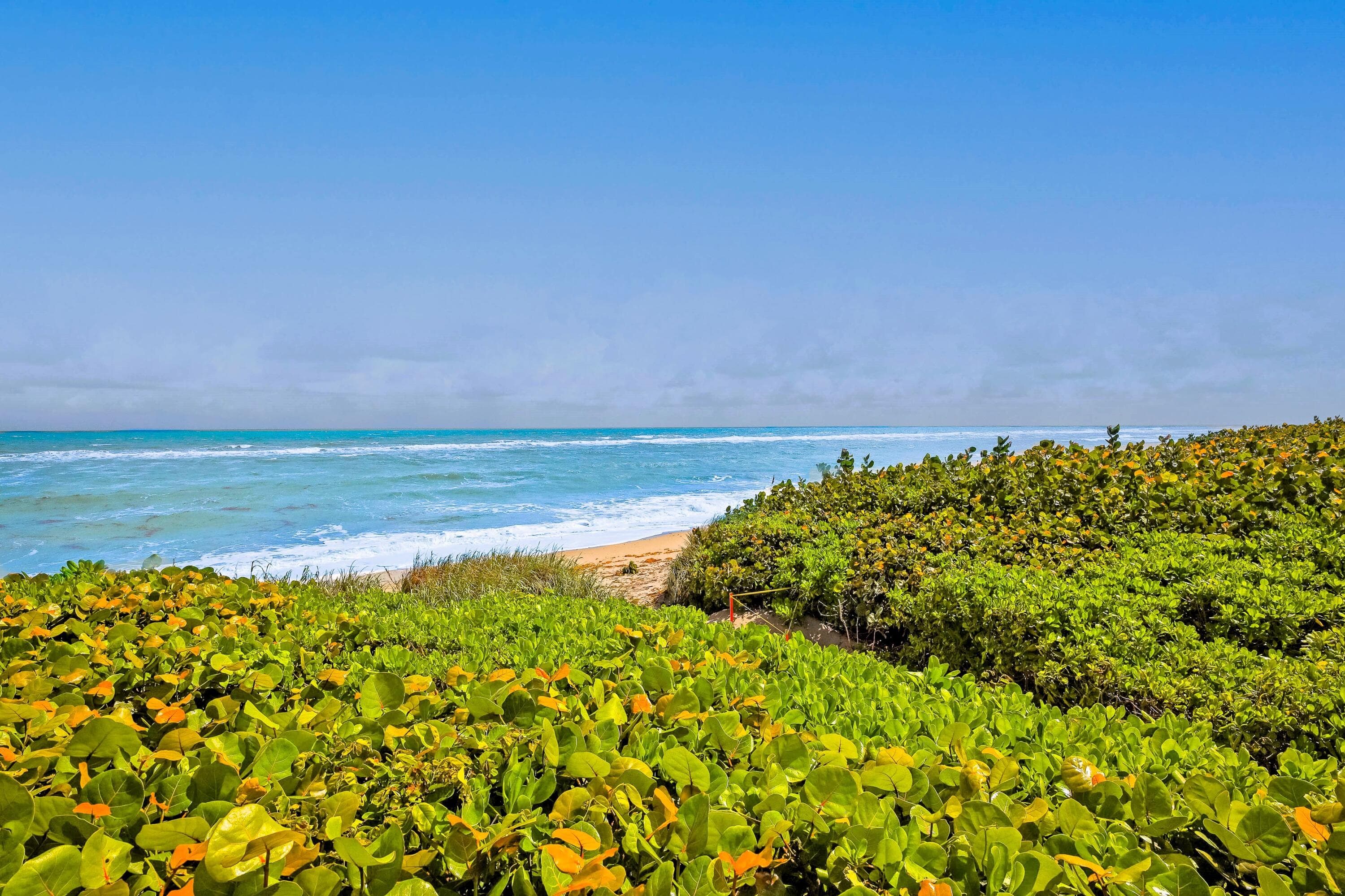 420 Celestial Way 204, Juno Beach, FL 33408 4