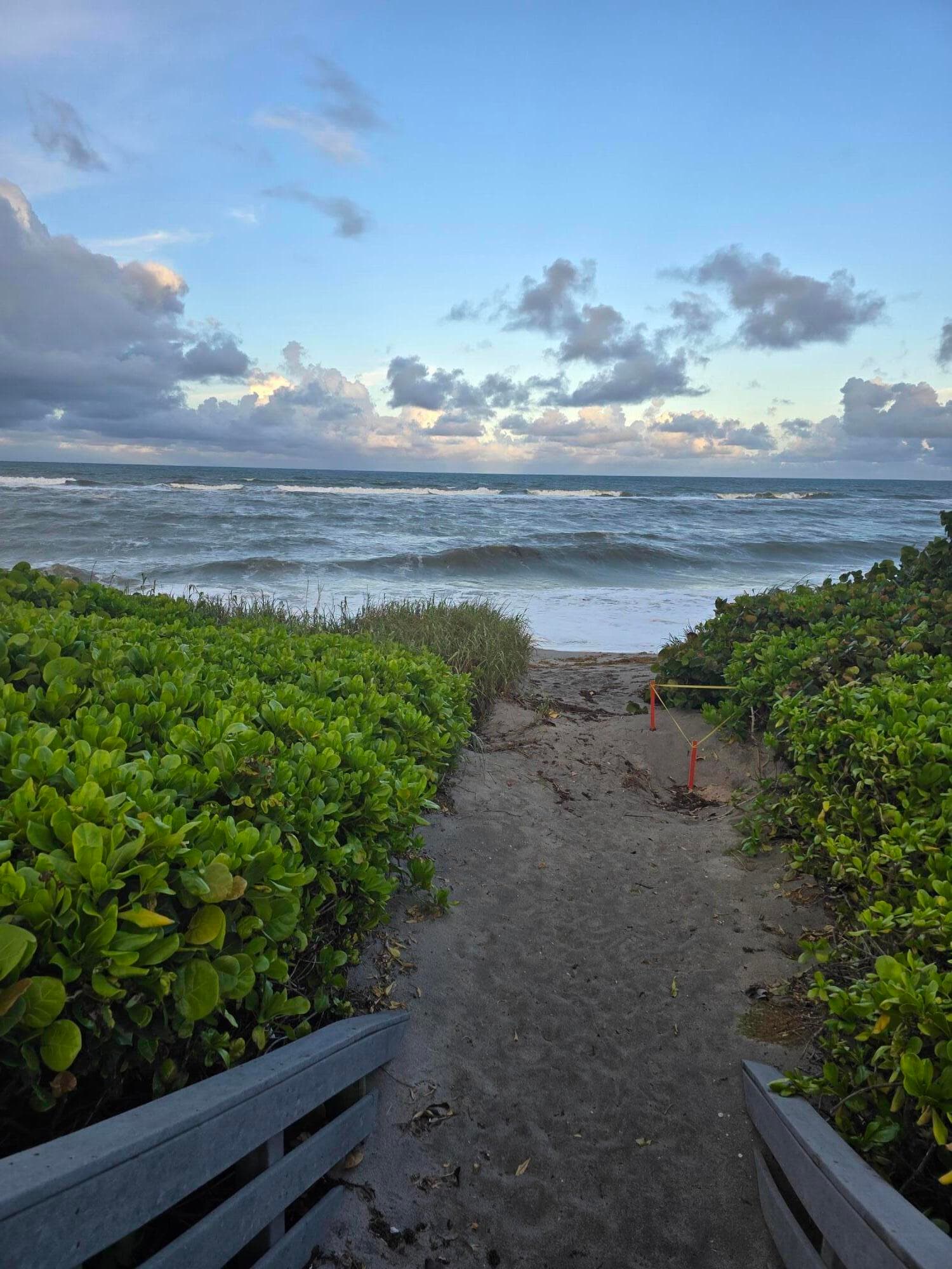 420 Celestial Way 204, Juno Beach, FL 33408 26