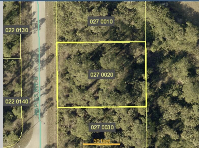 121 Naples Avenue S, Lehigh Acres, FL 33974 2