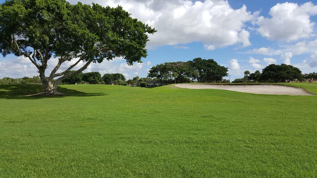 213 Brittany E, Delray Beach, FL 33446 35