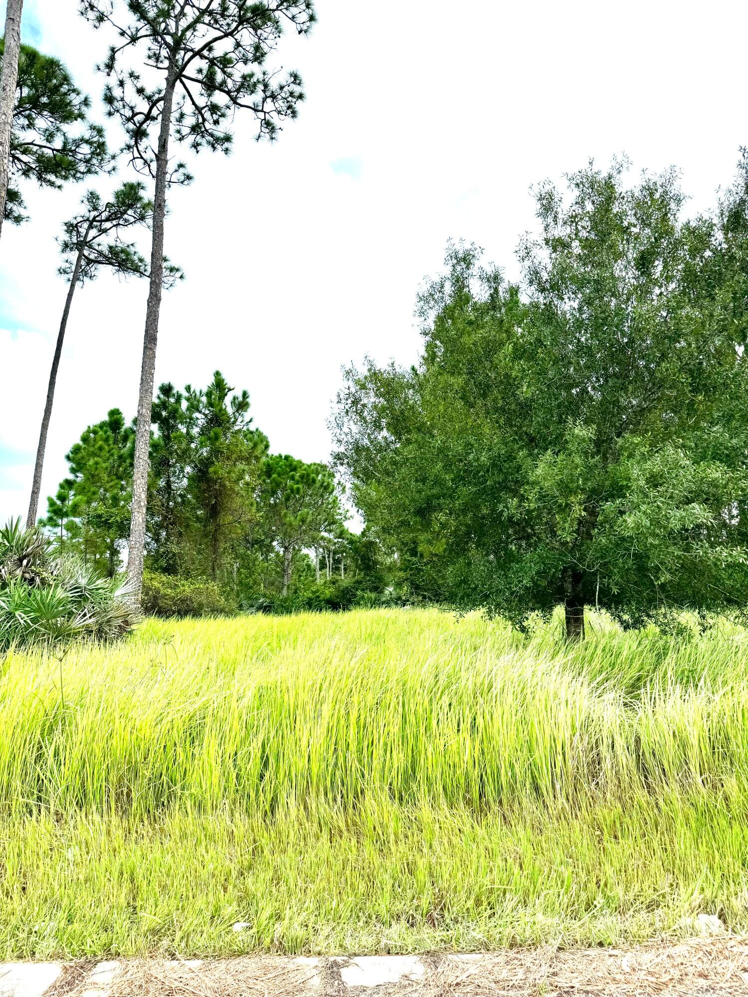 10615 Sugar Pine Drive, Fort Pierce, FL 34945 2