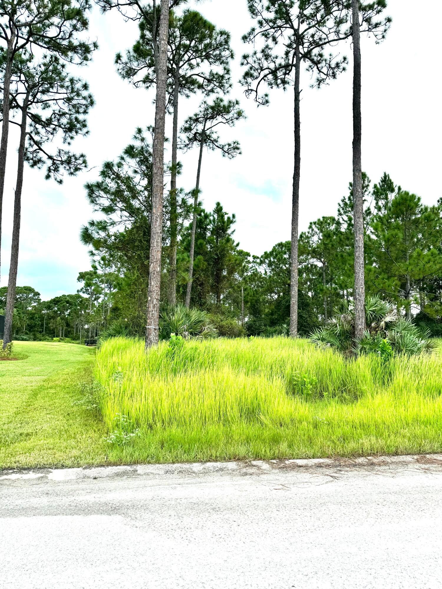 10615 Sugar Pine Drive, Fort Pierce, FL 34945 3