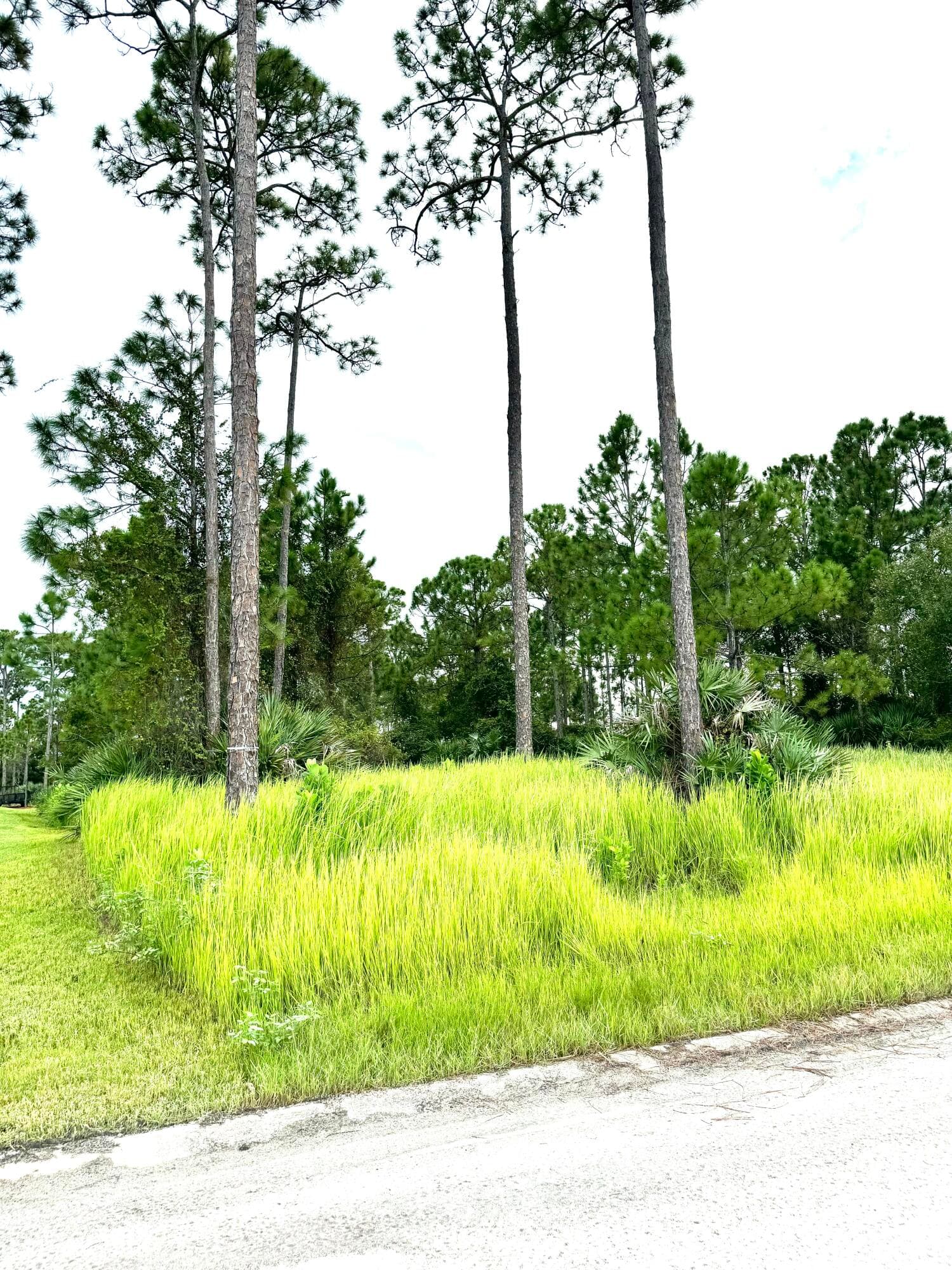 10615 Sugar Pine Drive, Fort Pierce, FL 34945 11