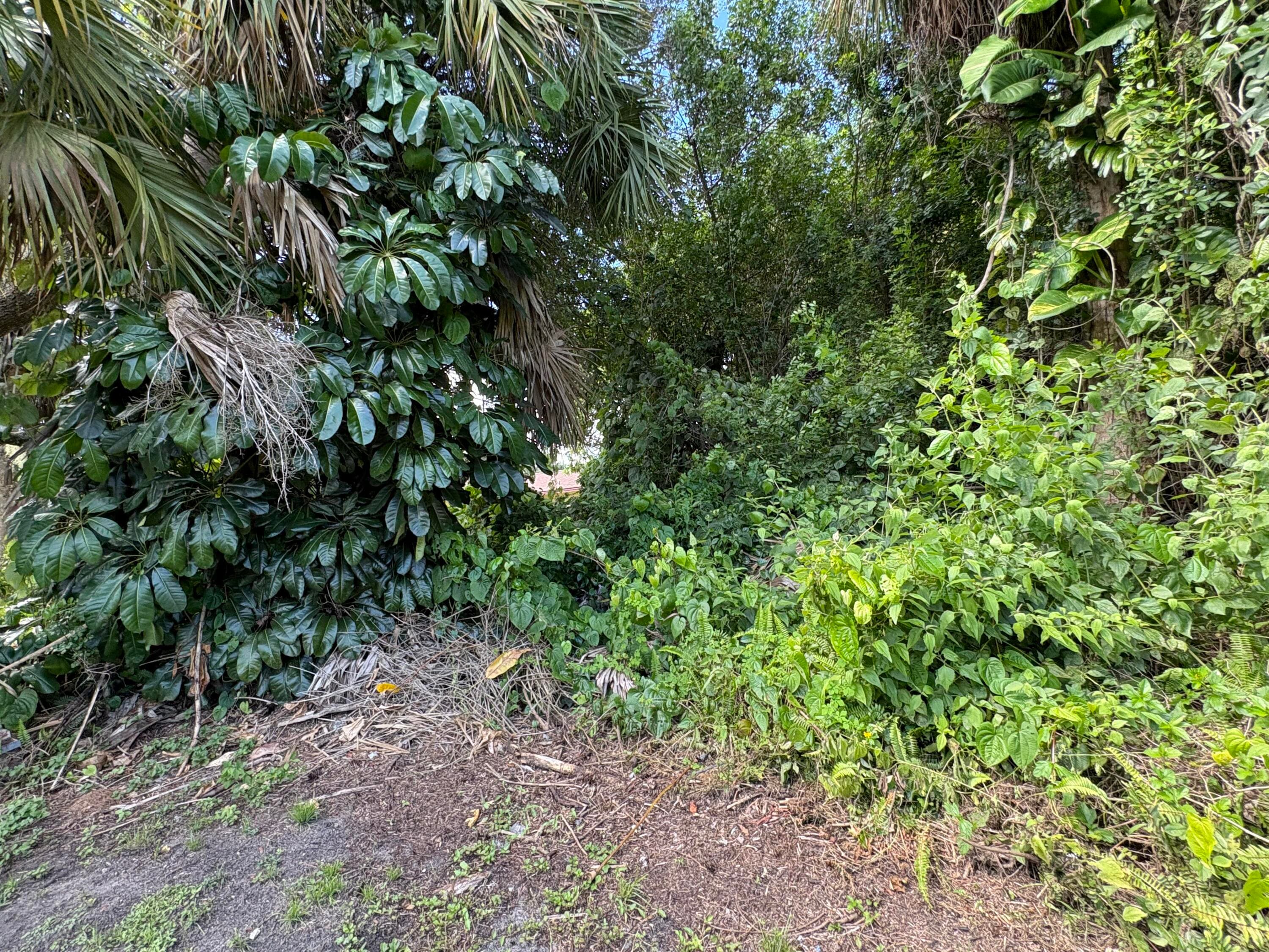 Tbd Santa Clara Boulevard, Port St. Lucie, FL 34951 5