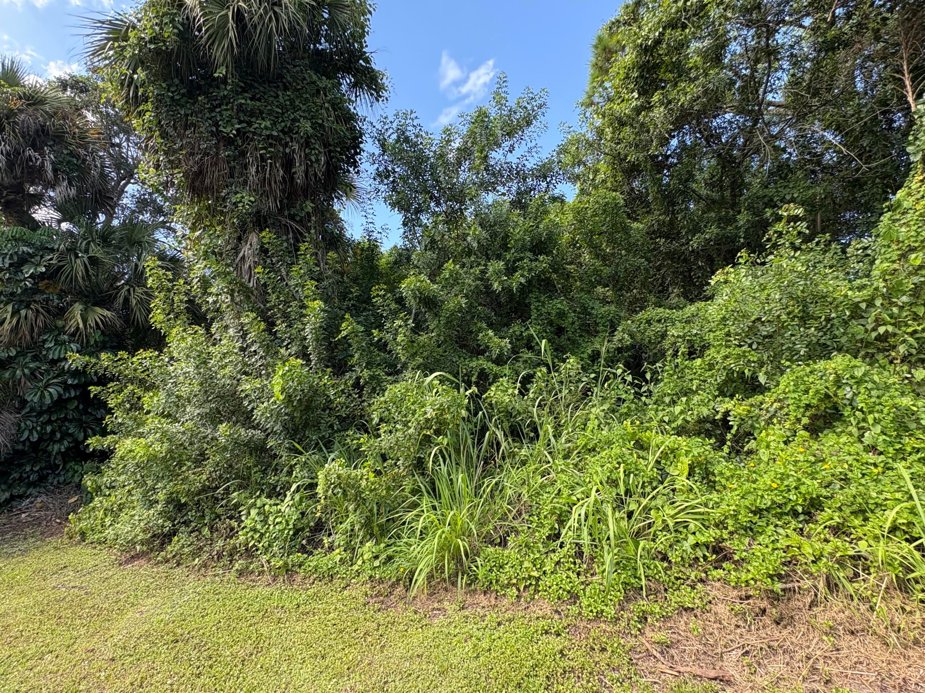 Tbd Santa Clara Boulevard, Port St. Lucie, FL 34951 3
