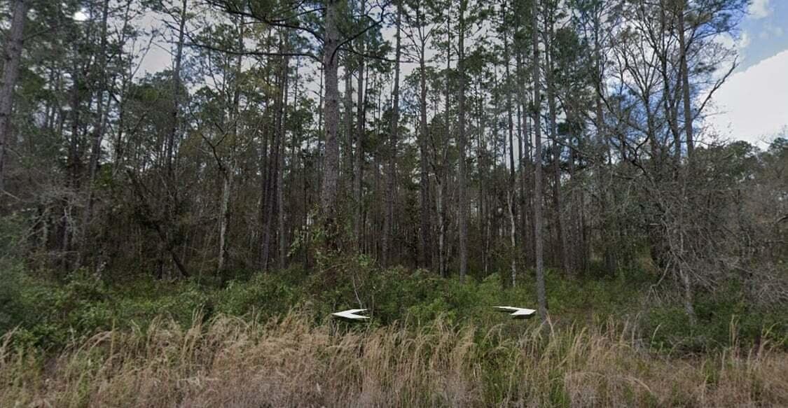 10275 Hennessey Avenue, Hastings, FL 32145 3