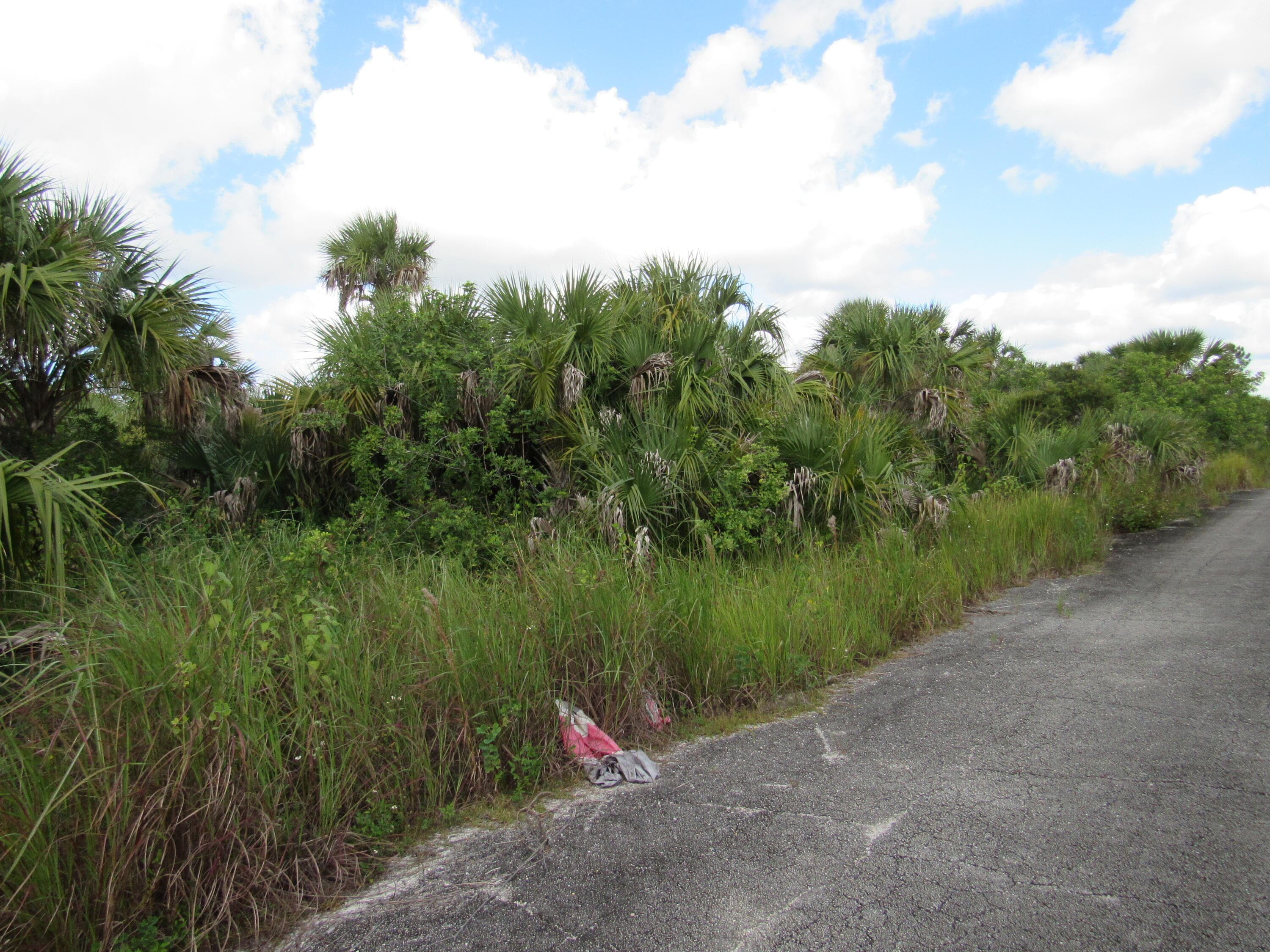 3362 Anhinga Avenue SW, Palm Bay, FL 32908 2