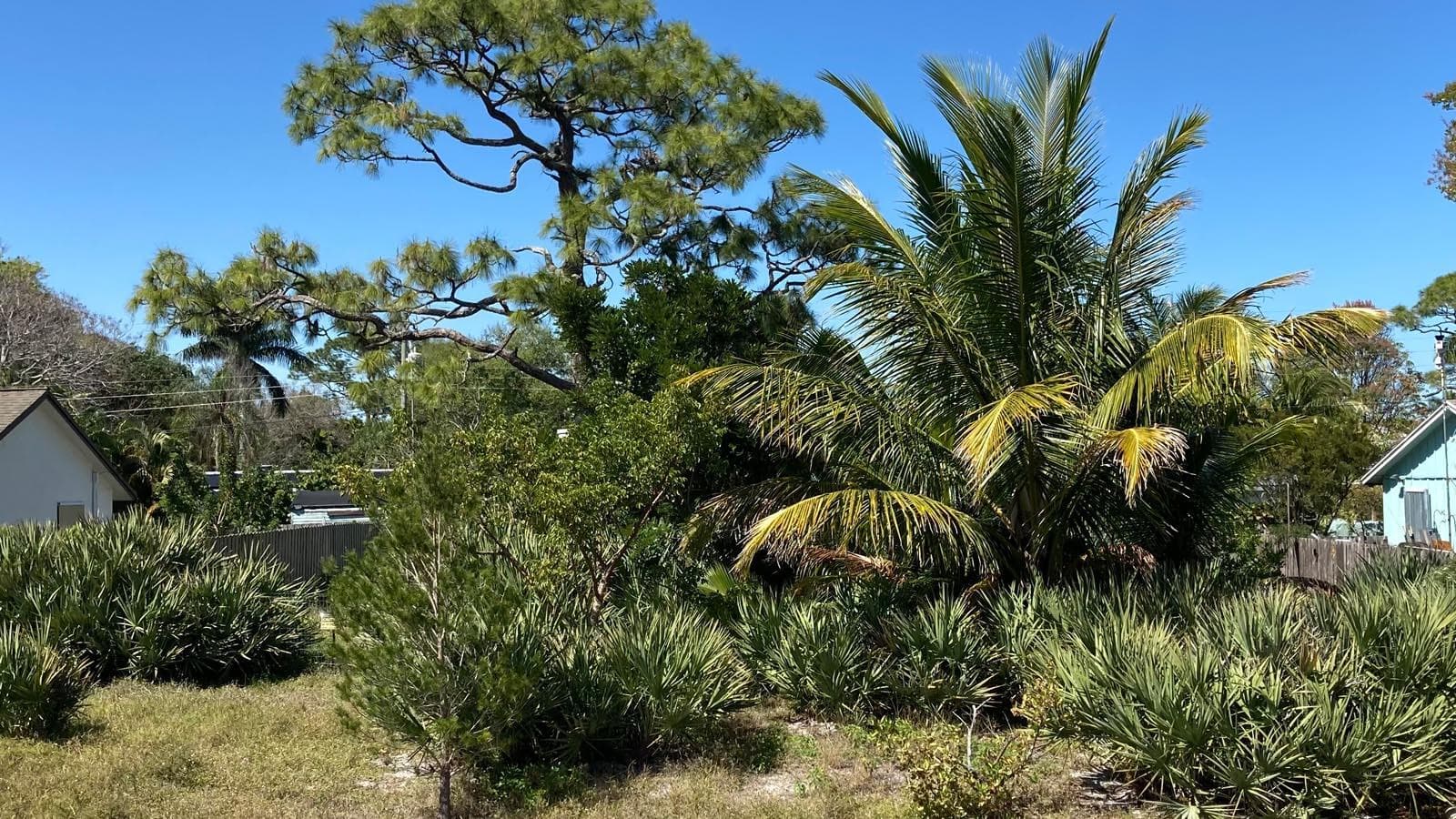 6483 SE Sylvan Place, Hobe Sound, FL 33455 2