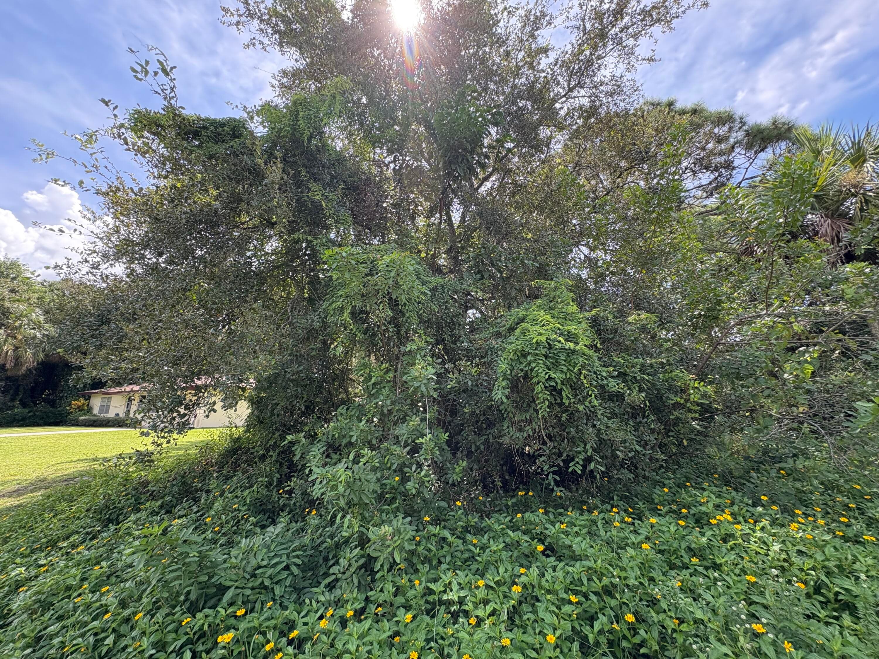 Santa Clar Santa Clara Boulevard, Port St. Lucie, FL 34951 2