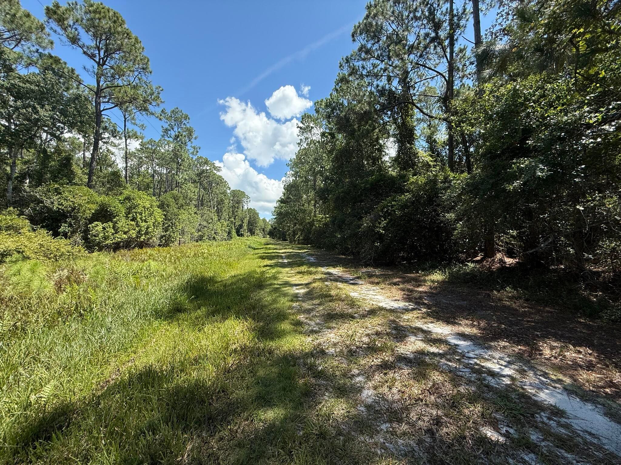 210 SE 2nd Street, Georgetown, FL 32139 4