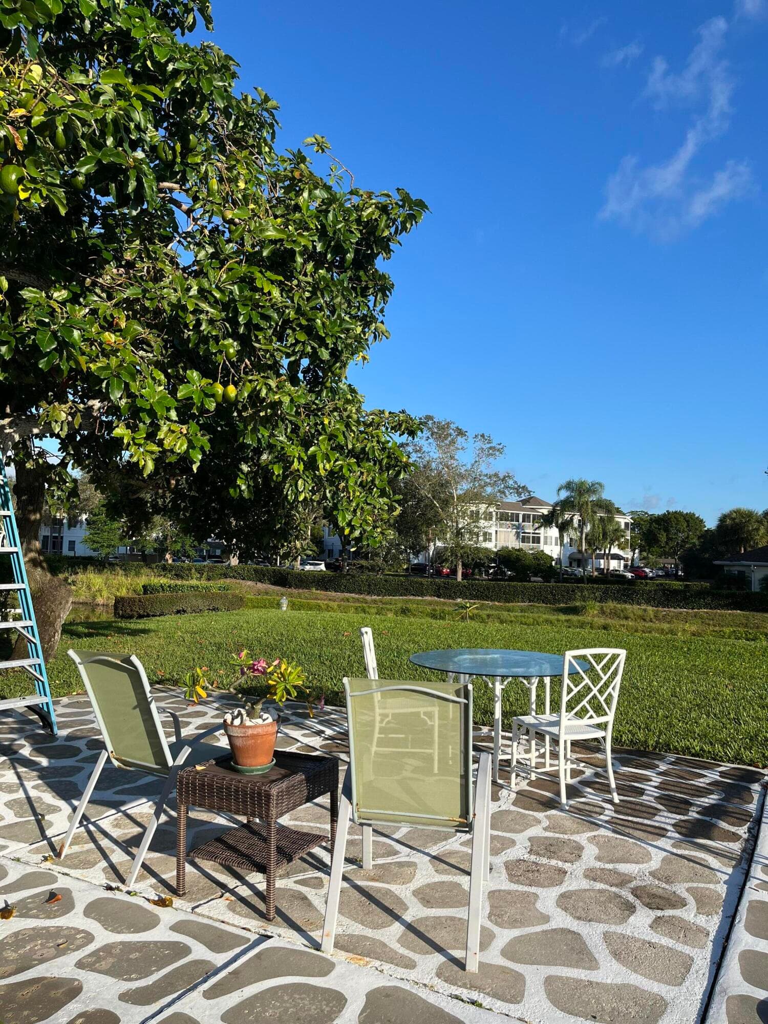 2623 Northside Drive, Lake Worth, FL 33462 5