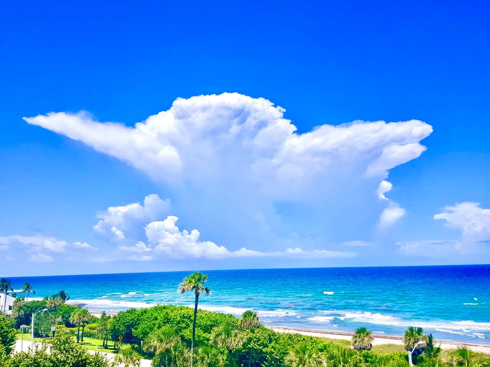 4101 N Ocean Boulevard 1604, Boca Raton, FL 33431 51