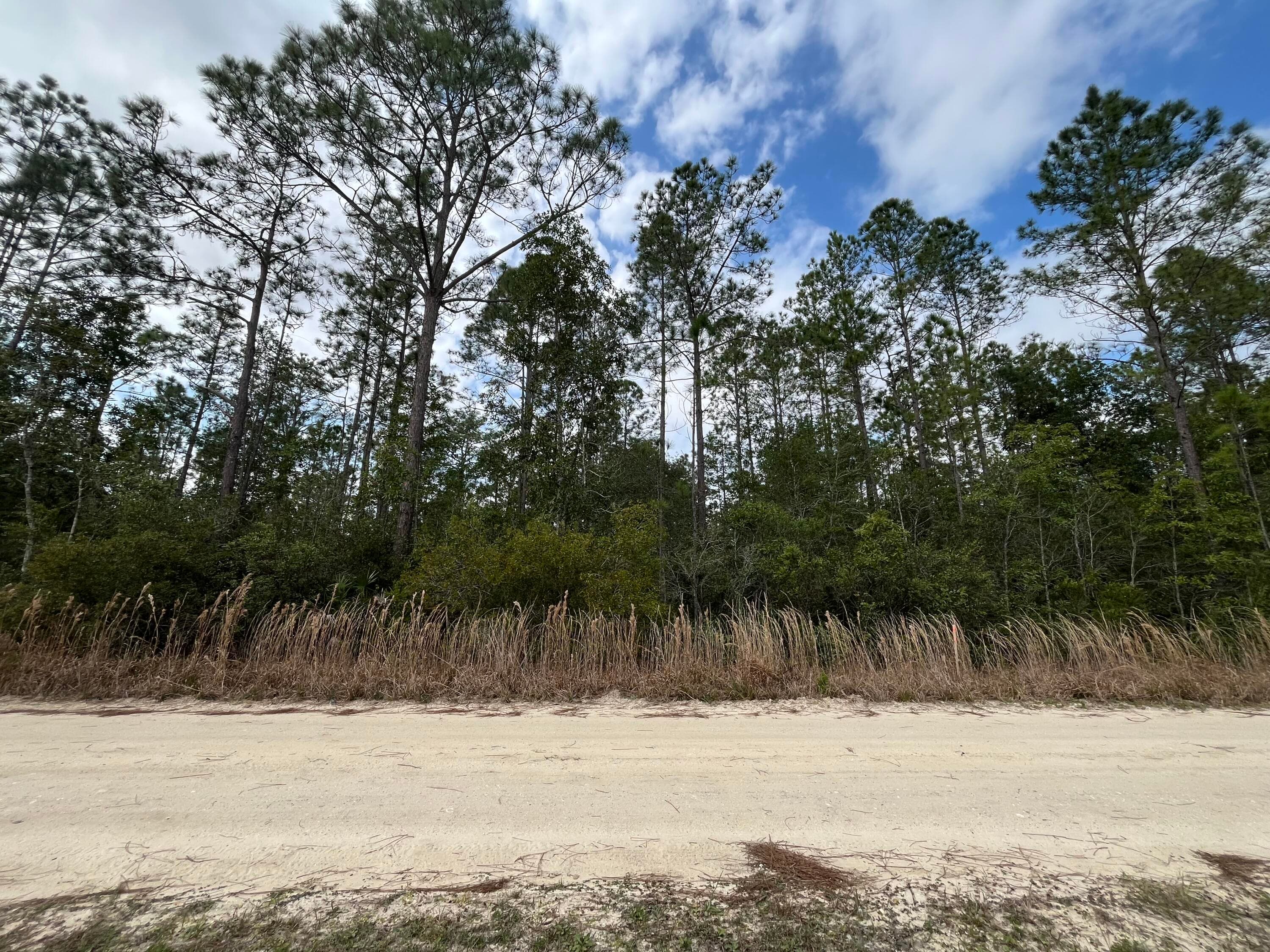215 Royal Avenue, Interlachen, FL 32148