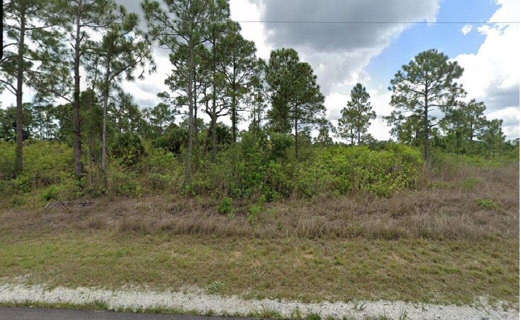 1003 Hines Avenue, Alva, FL 33920