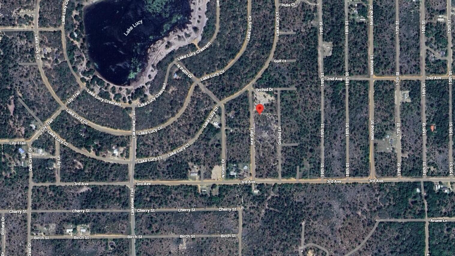 116 Tulip Avenue, Interlachen, FL 32148 3