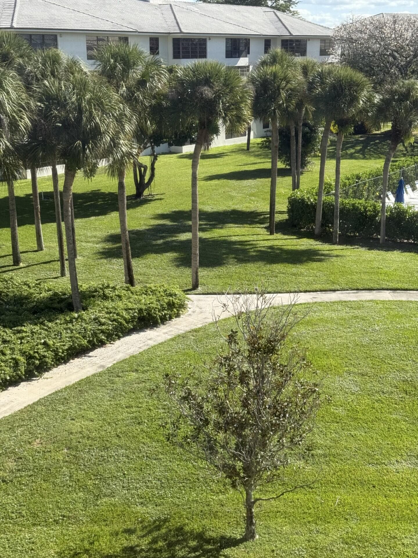 3710 Whitehall Drive 401, West Palm Beach, FL 33401 3