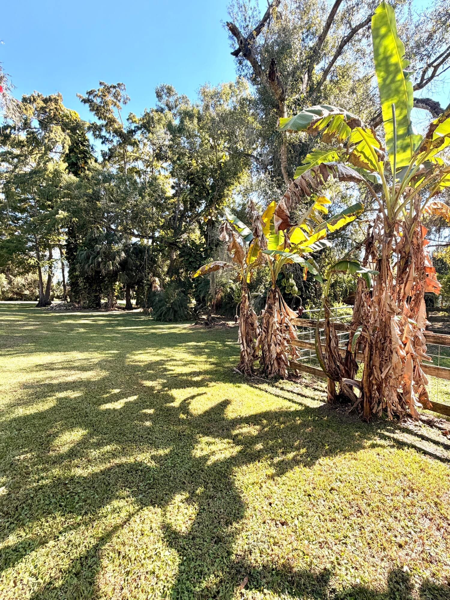 505 SE 18th Way, Okeechobee, FL 34974 51