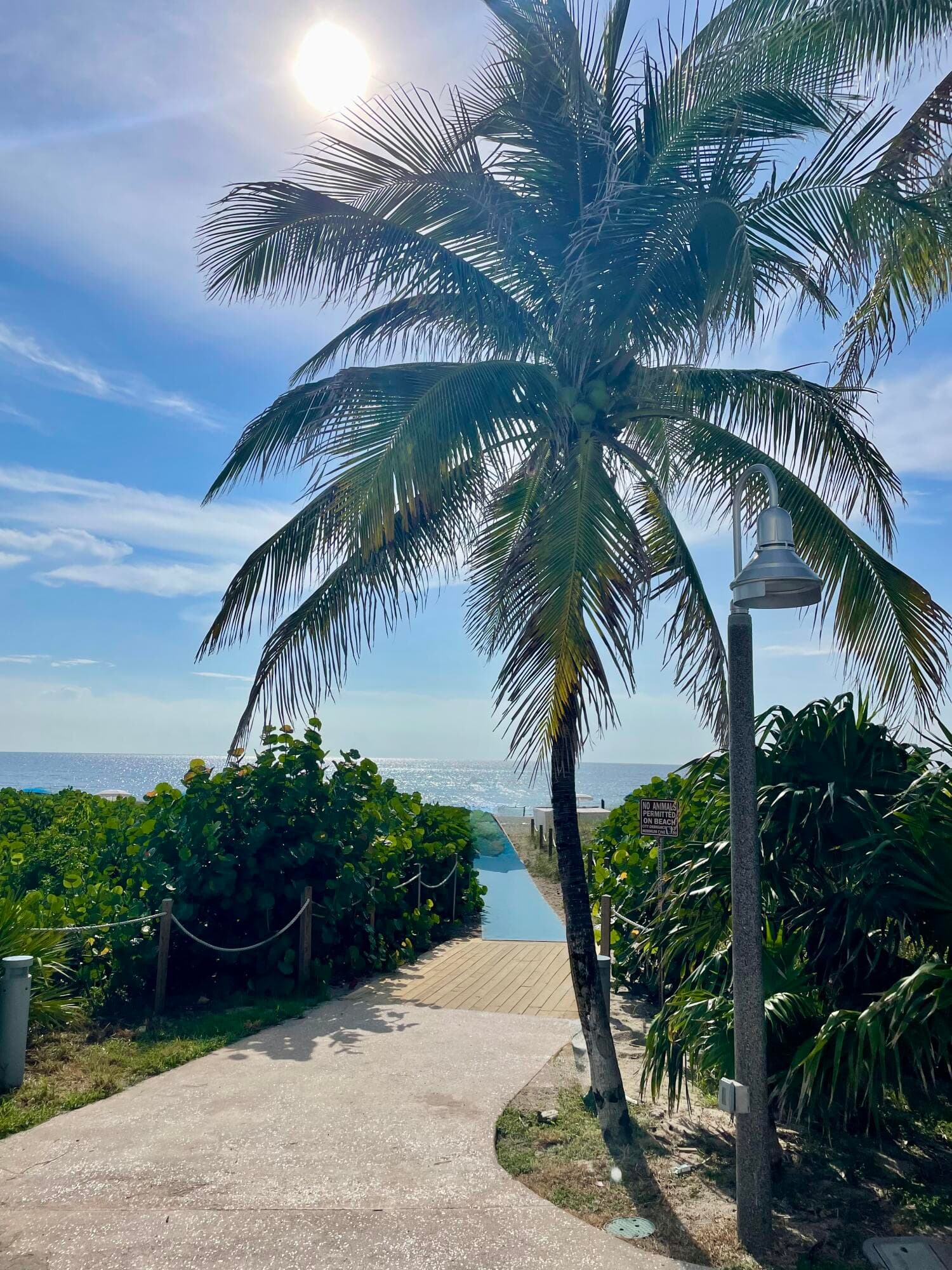 1165 E Atlantic Avenue A, Delray Beach, FL 33483 28