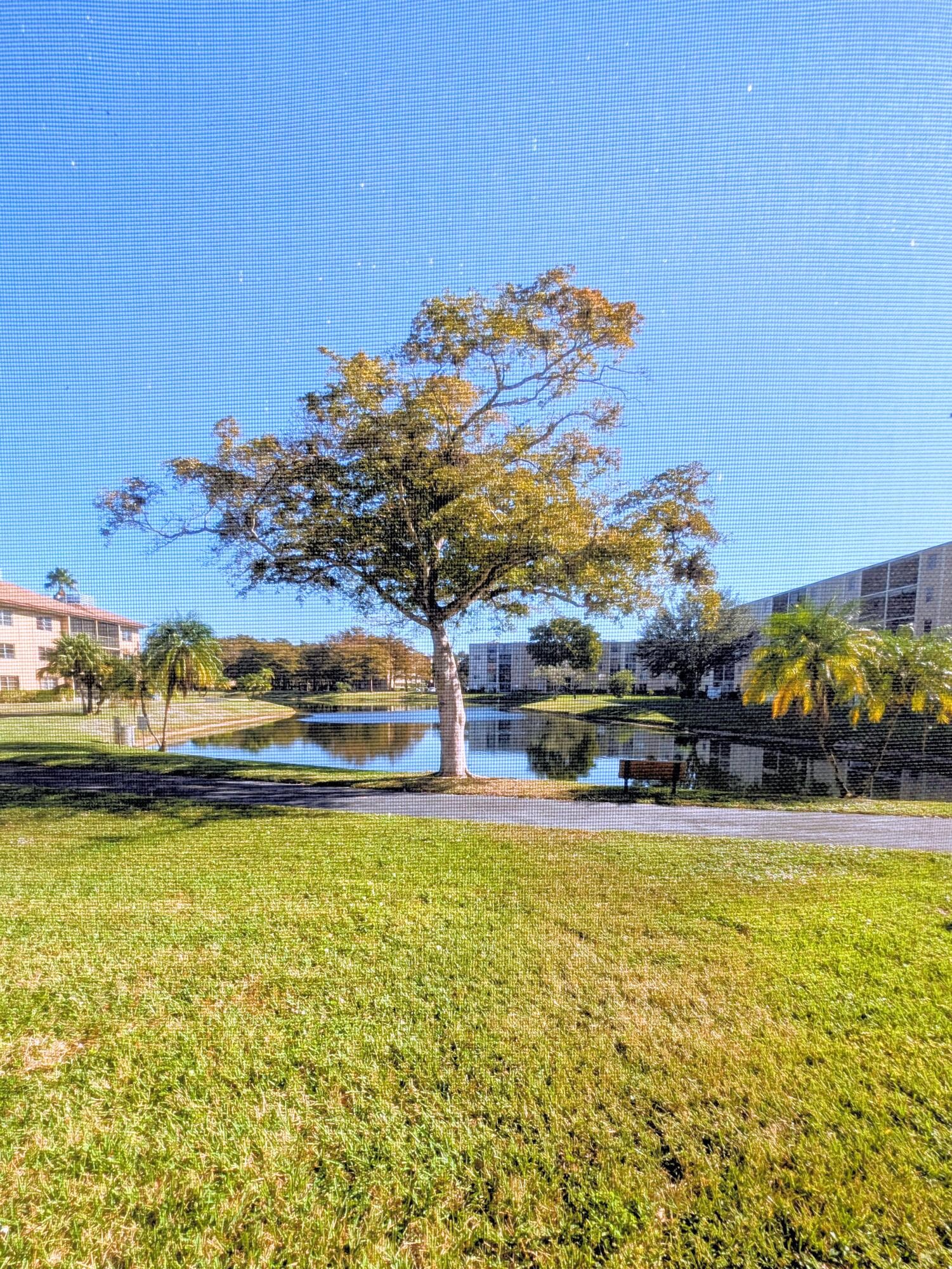 7960 NW 50th Street 104, Lauderhill, FL 33351 6