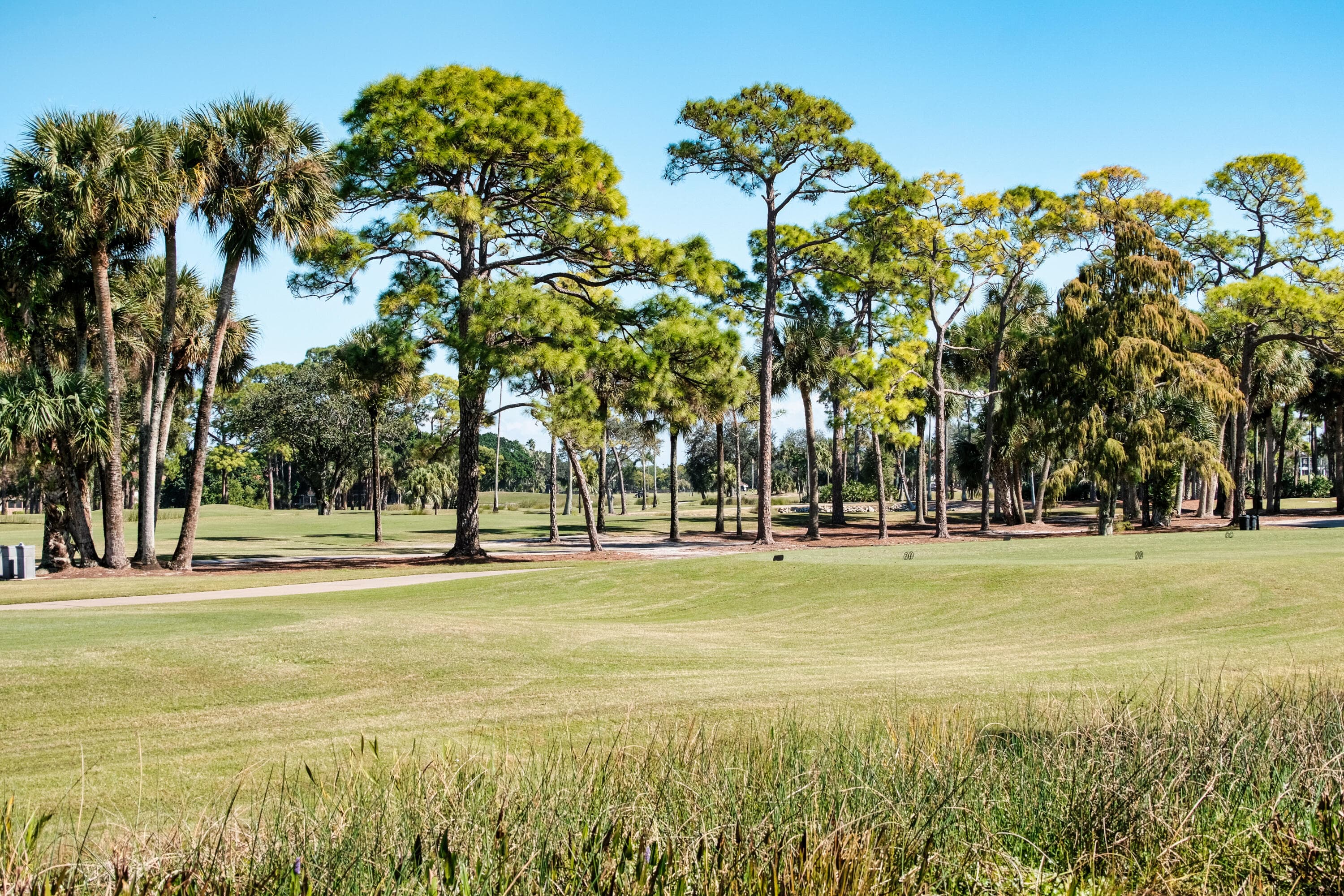 305 Ryder Cup Circle, Palm Beach Gardens, FL 33418 62