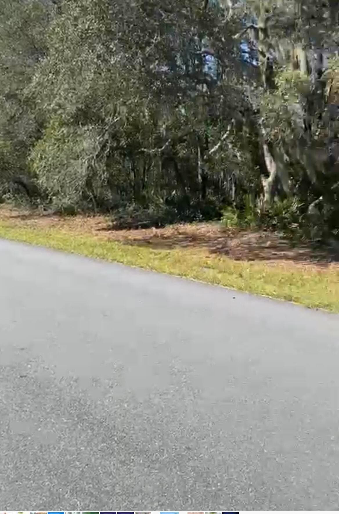 4017 SW 133rd Loop, Ocala, FL 34473 3