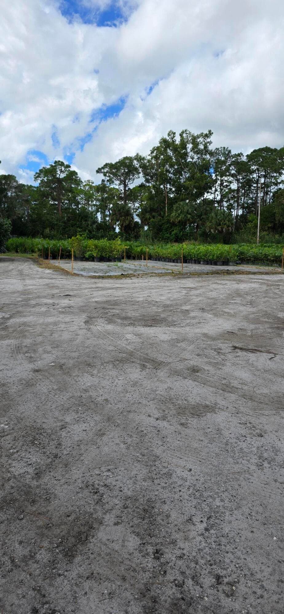 15720 Okeechobee Boulevard, Loxahatchee Groves, FL 33470 12