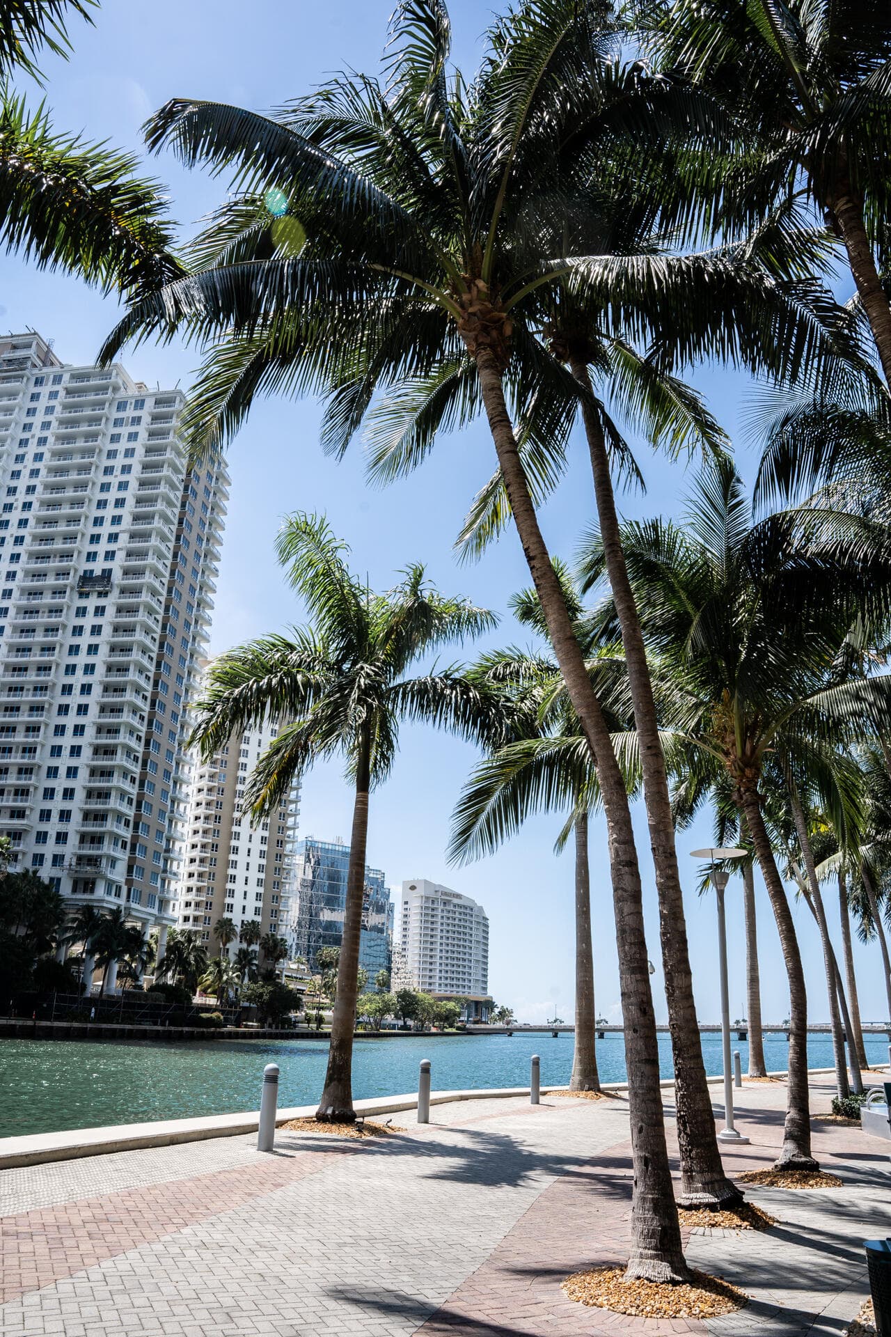 495 Brickell Avenue 4010, Miami, FL 33131 51