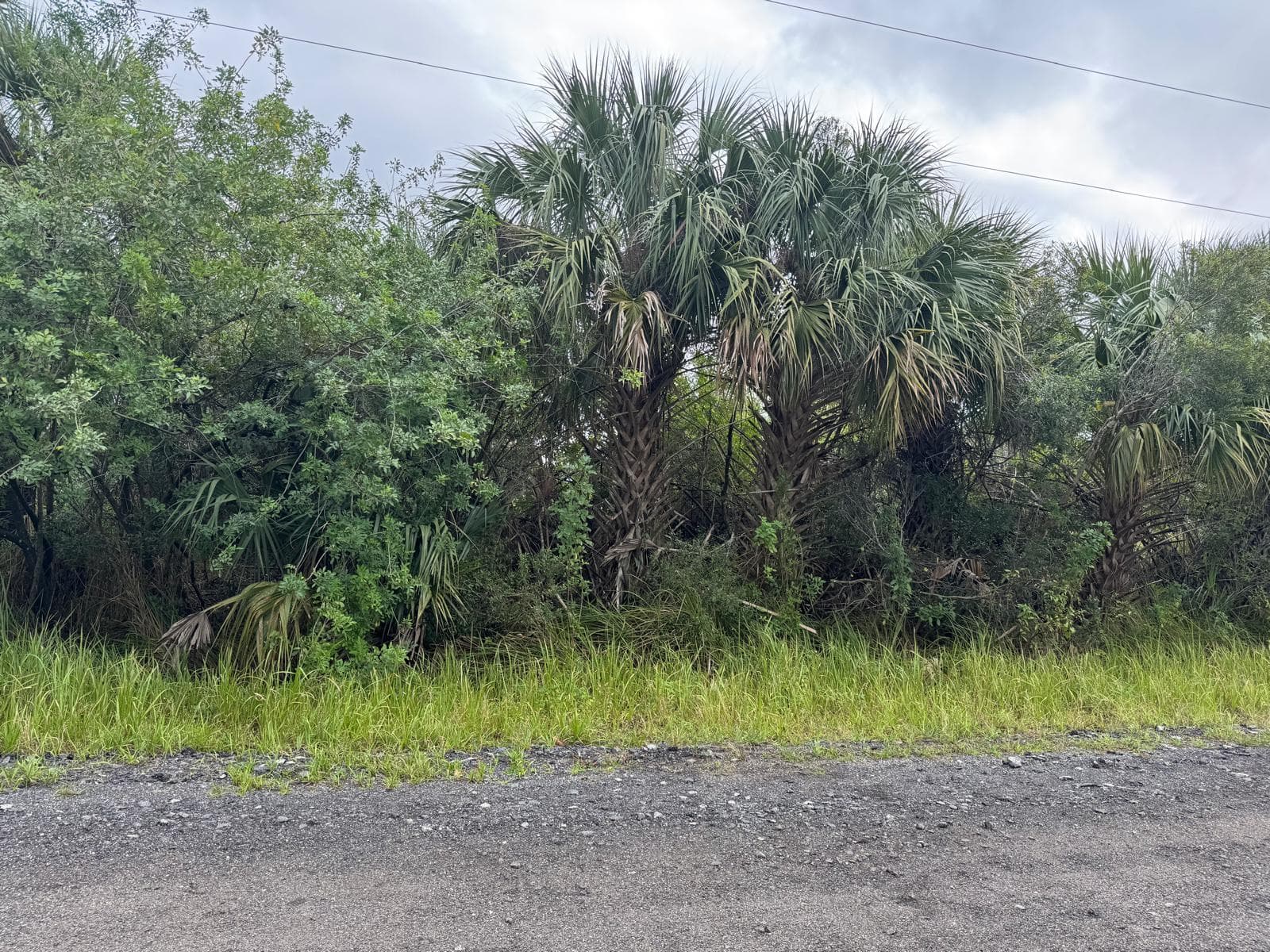 3395 Fitzpatrick Avenue SW, Palm Bay, FL 32908 4