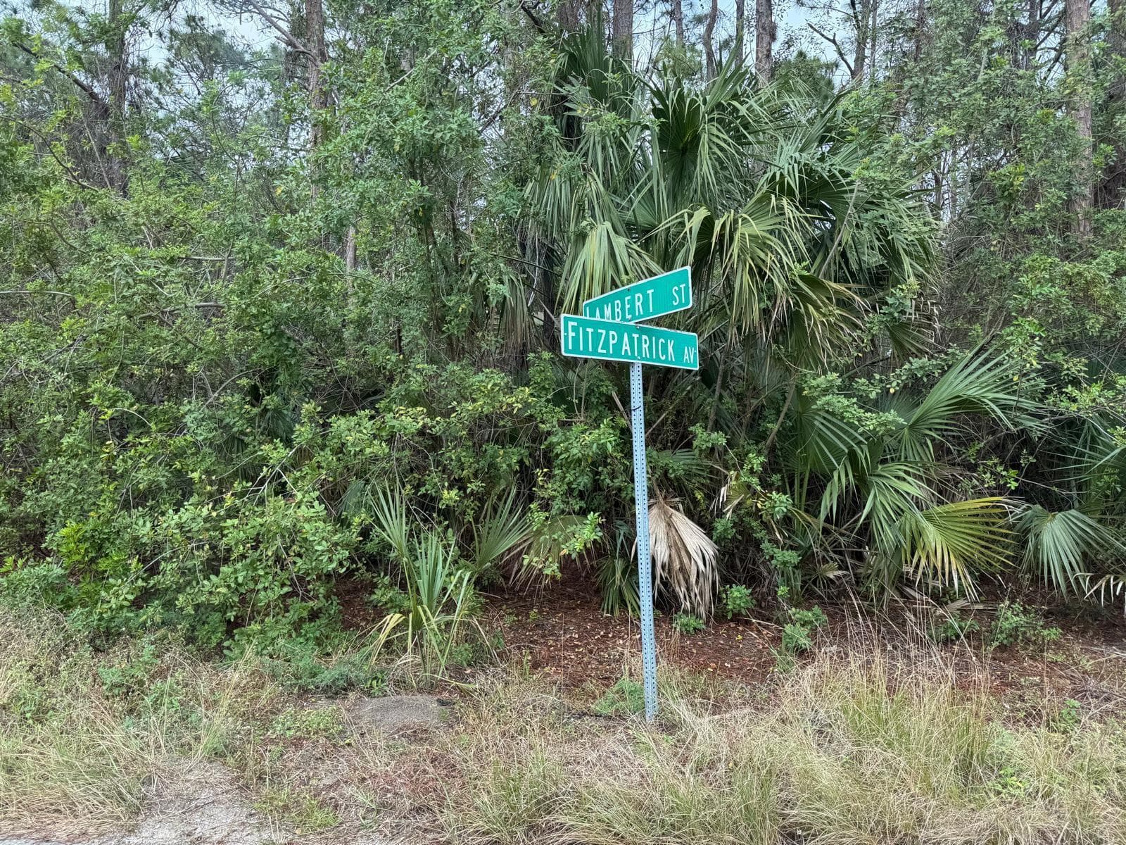 3395 Fitzpatrick Avenue SW, Palm Bay, FL 32908