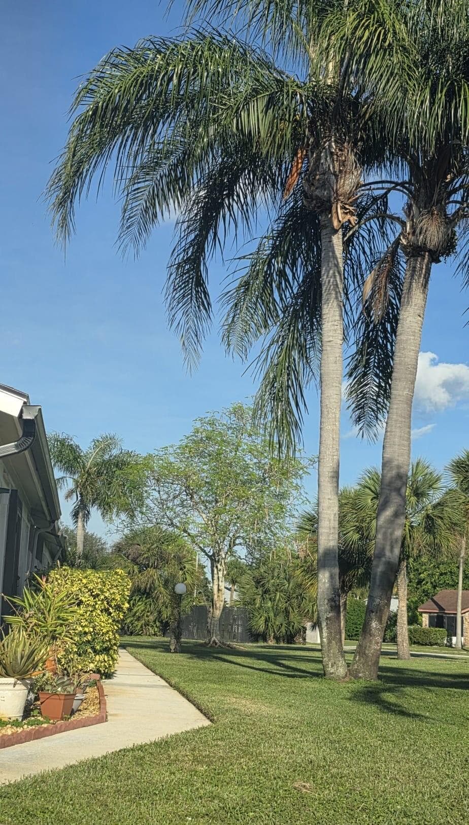4327 Willow Brook Circle, West Palm Beach, FL 33417 2