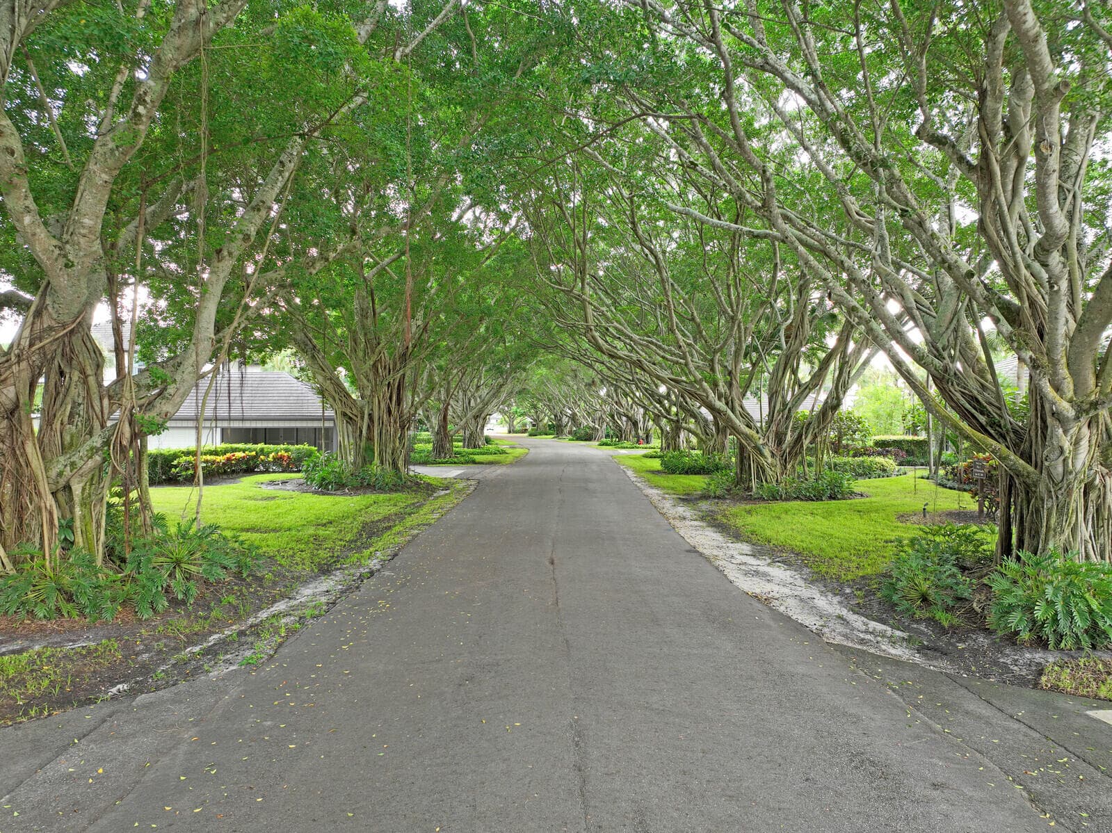 2735 Polo Island Drive K104, Wellington, FL 33414 55