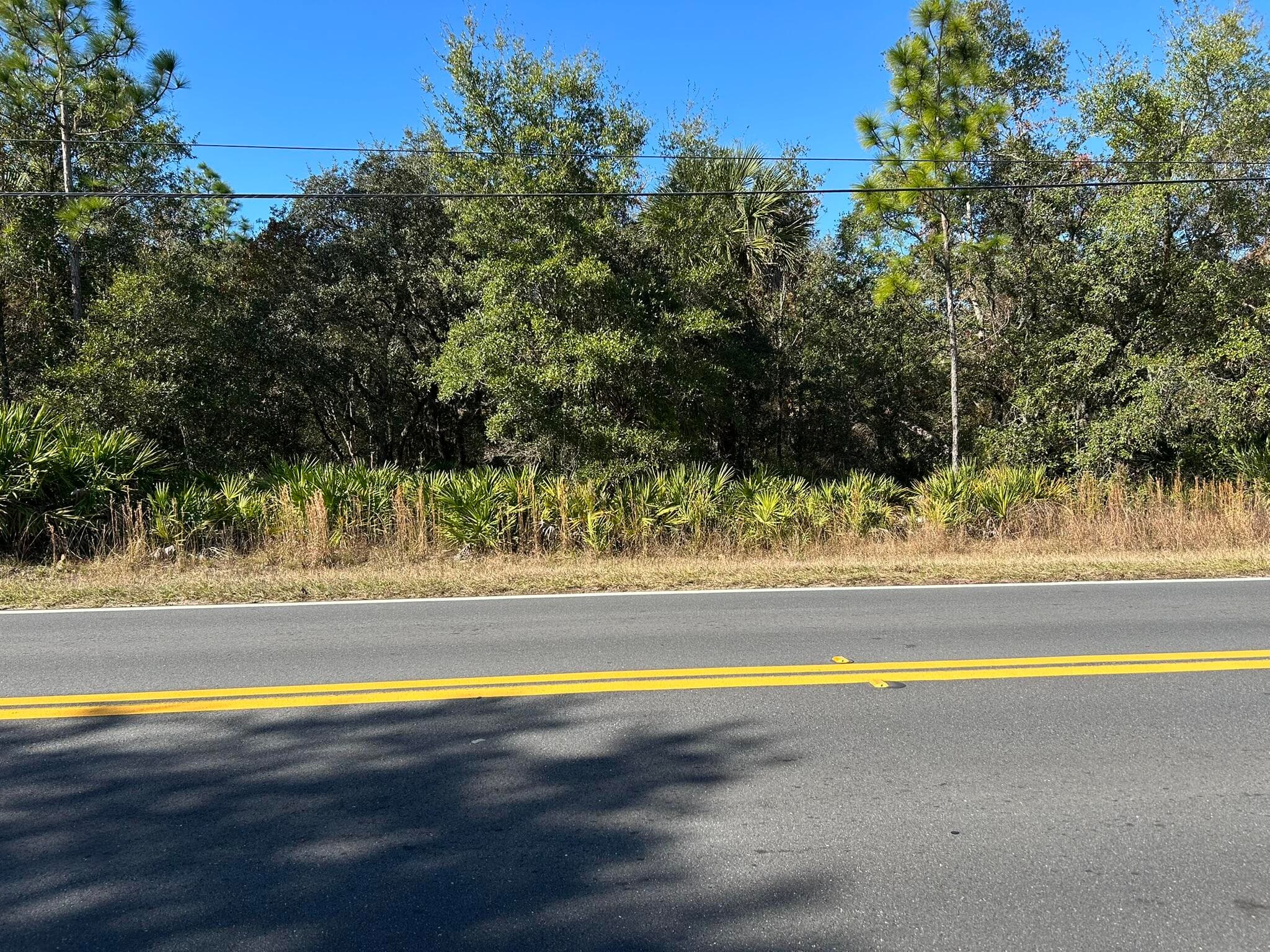 632 N Dunkenfield Avenue, Crystal River, FL 34429 4