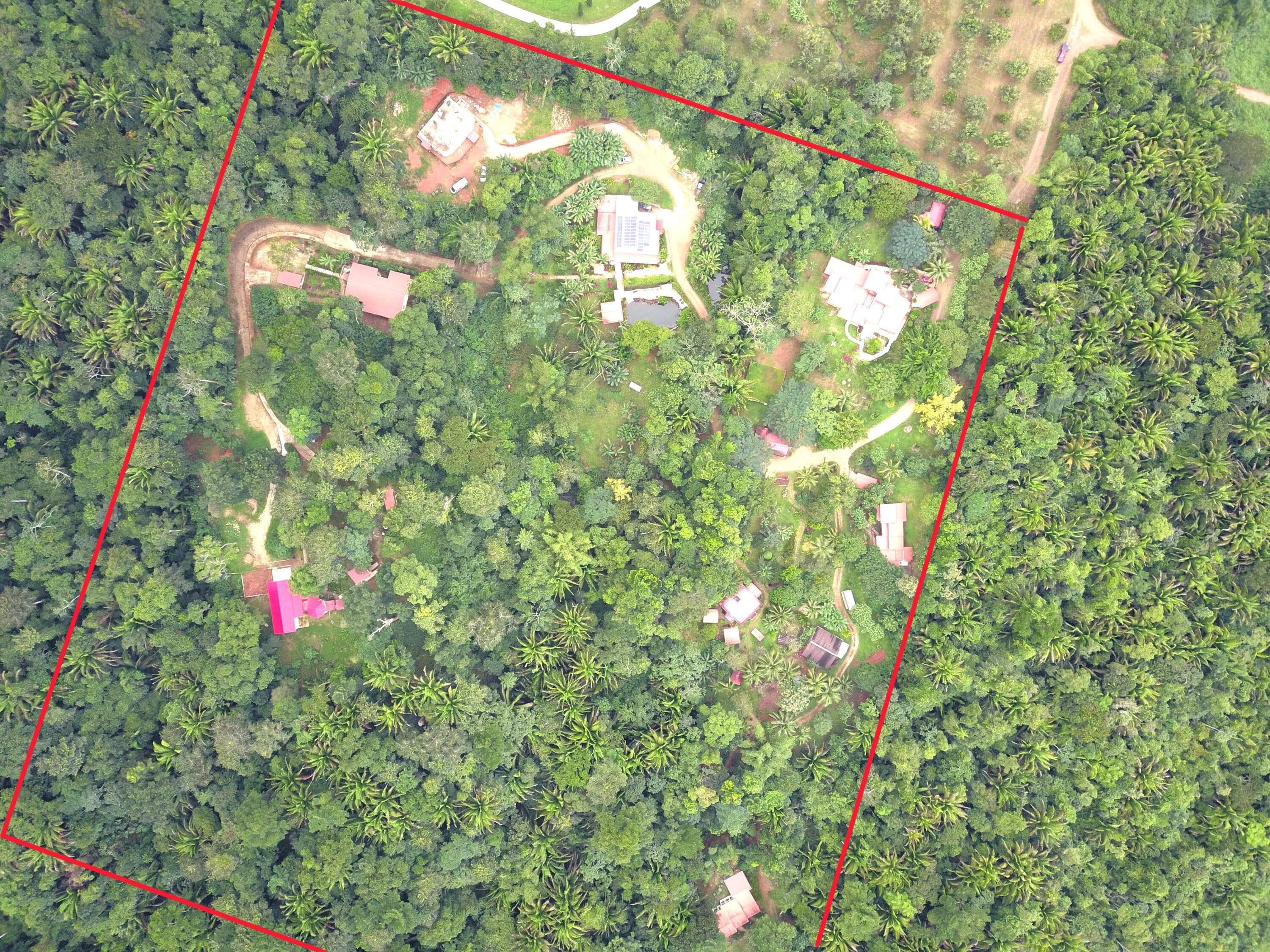 21 Hummingbird Way, 00000 9