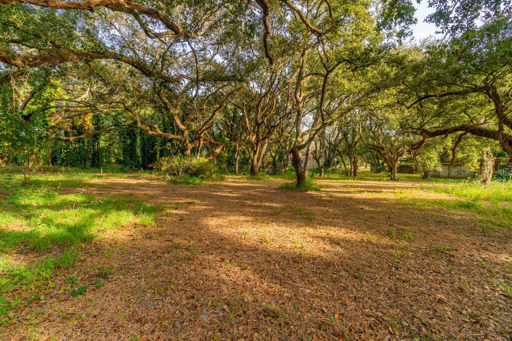 3453 NW 160th Street, Okeechobee, FL 34972 6