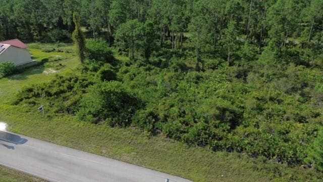 1115 Chiefland Street E, Lehigh Acres, FL 33974 2